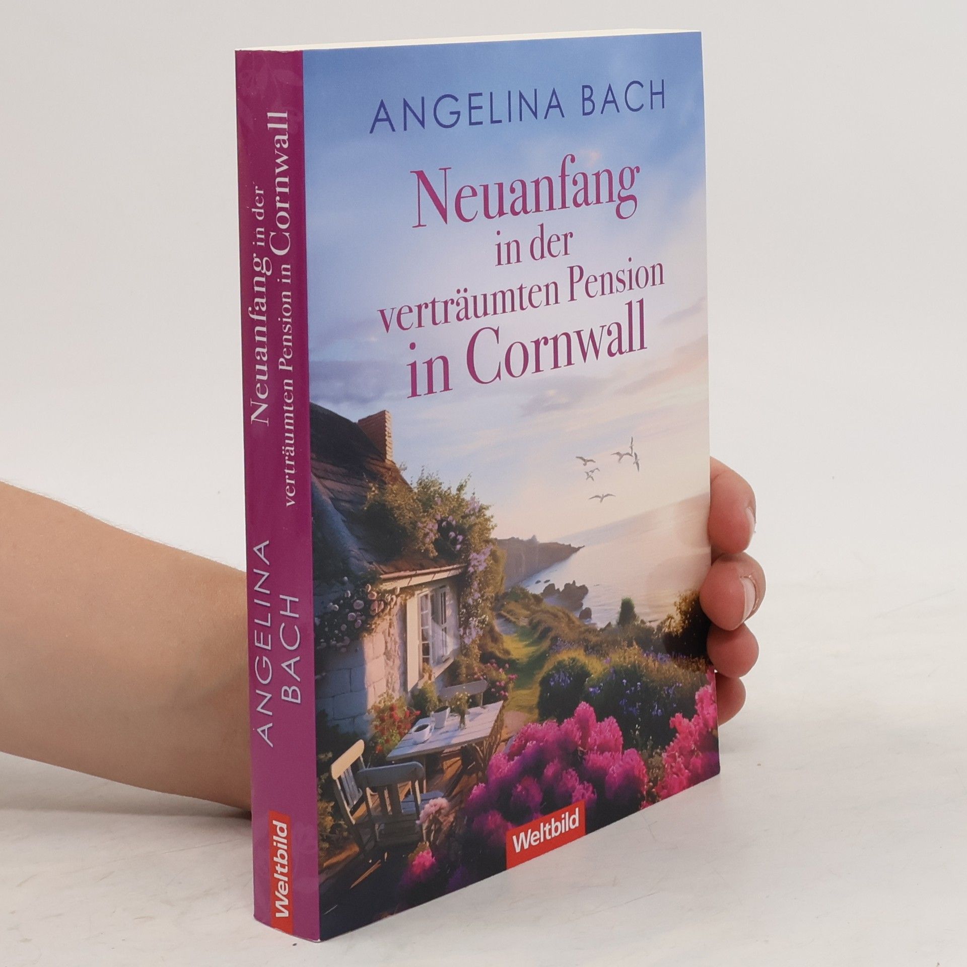 Angelina Bach Neuanfang in der verträumten Pension in Cornwall