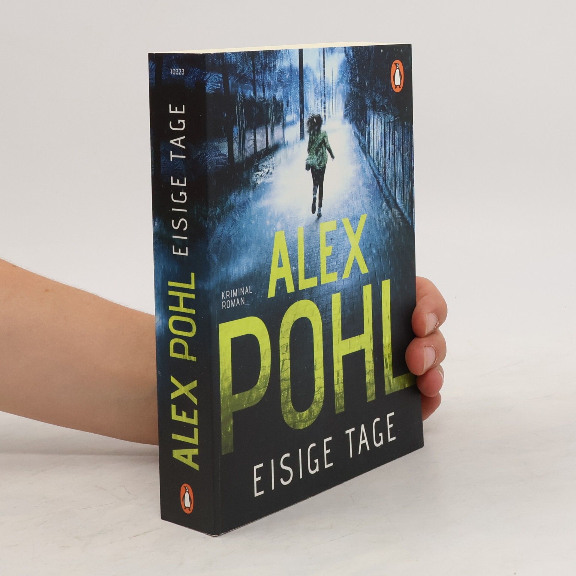 Alex Pohl Eisige Tage