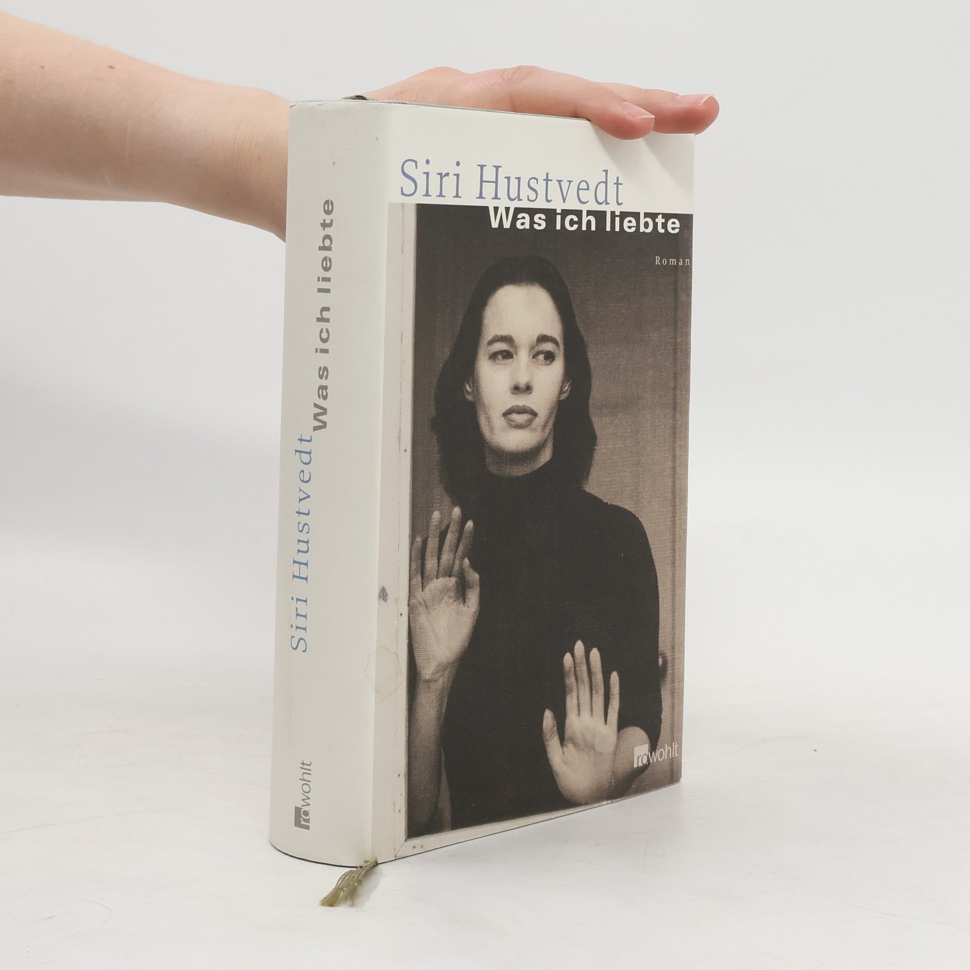 Siri Hustvedt Was ich liebte