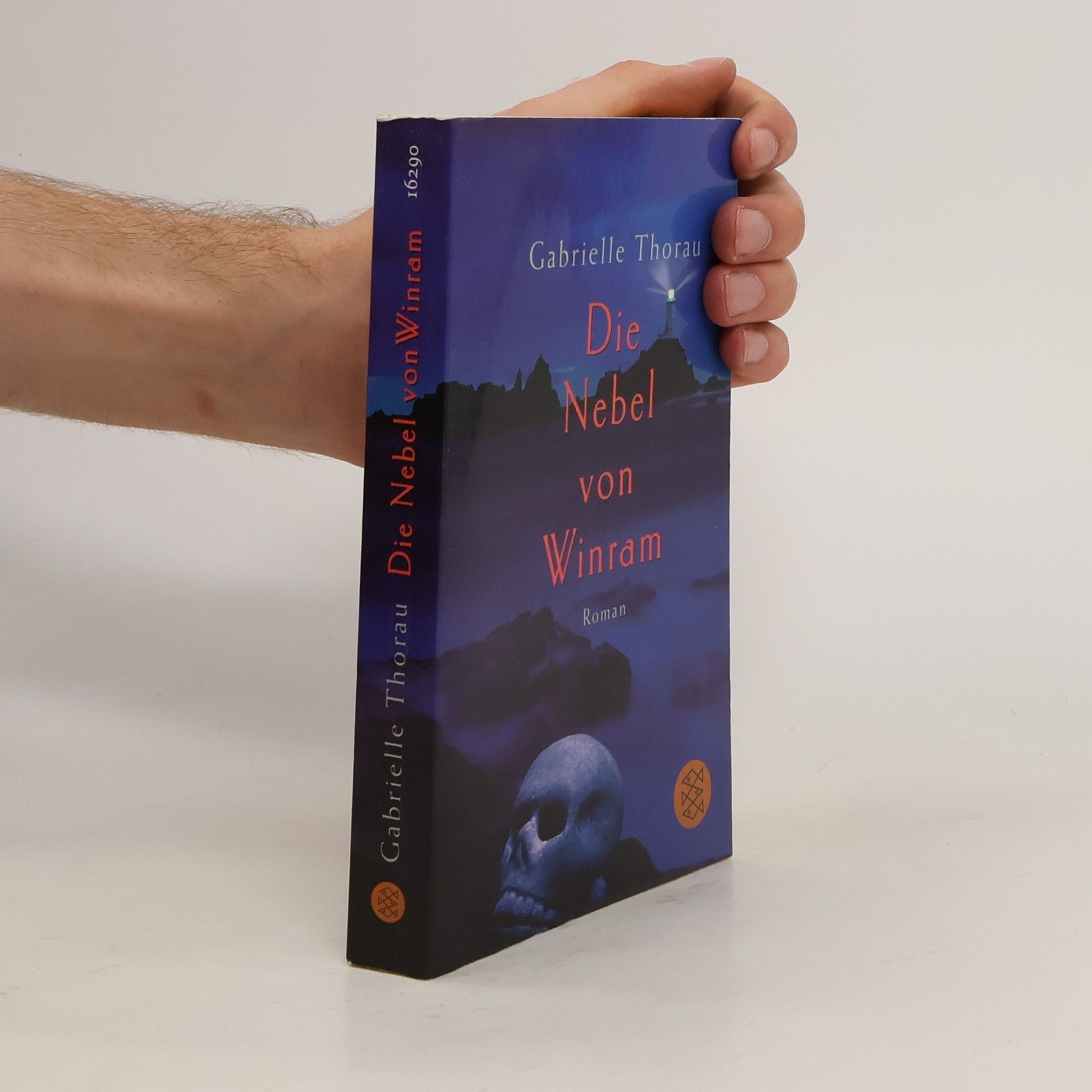 Gabrielle Thorau Die Nebel von Winram