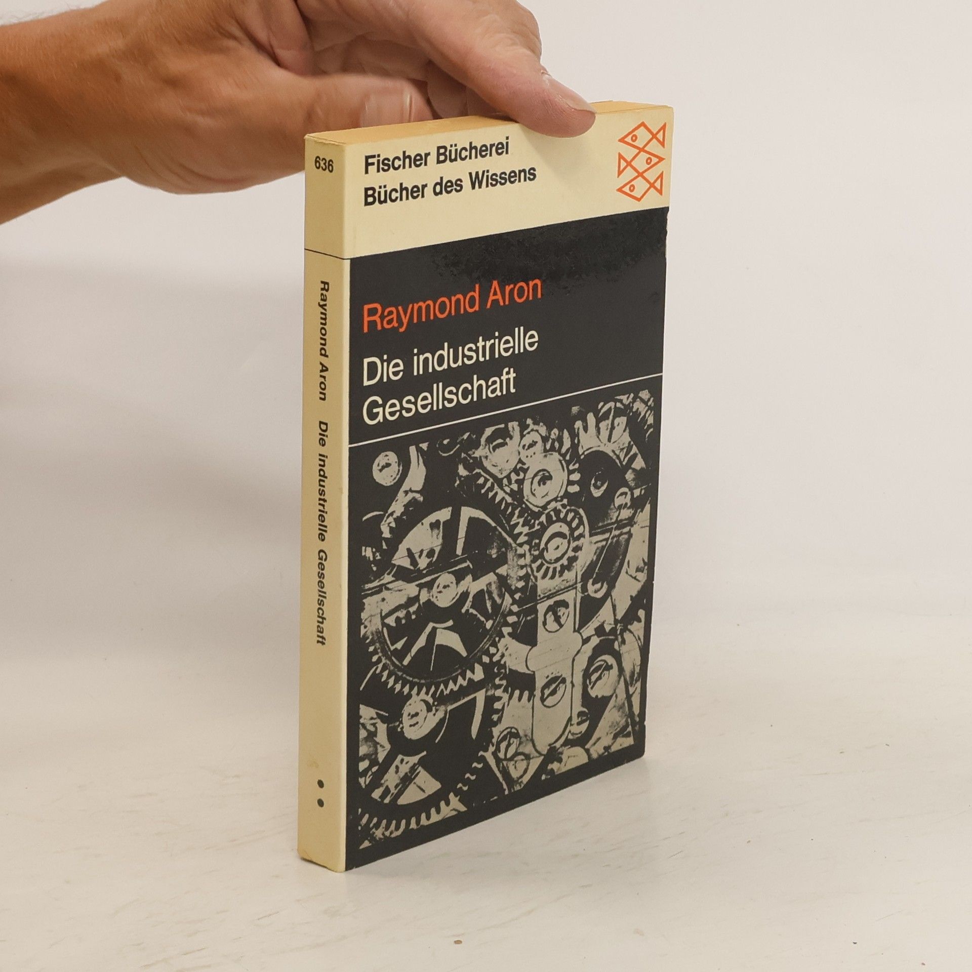 Raymond Aron Die industrielle Gesellschaft