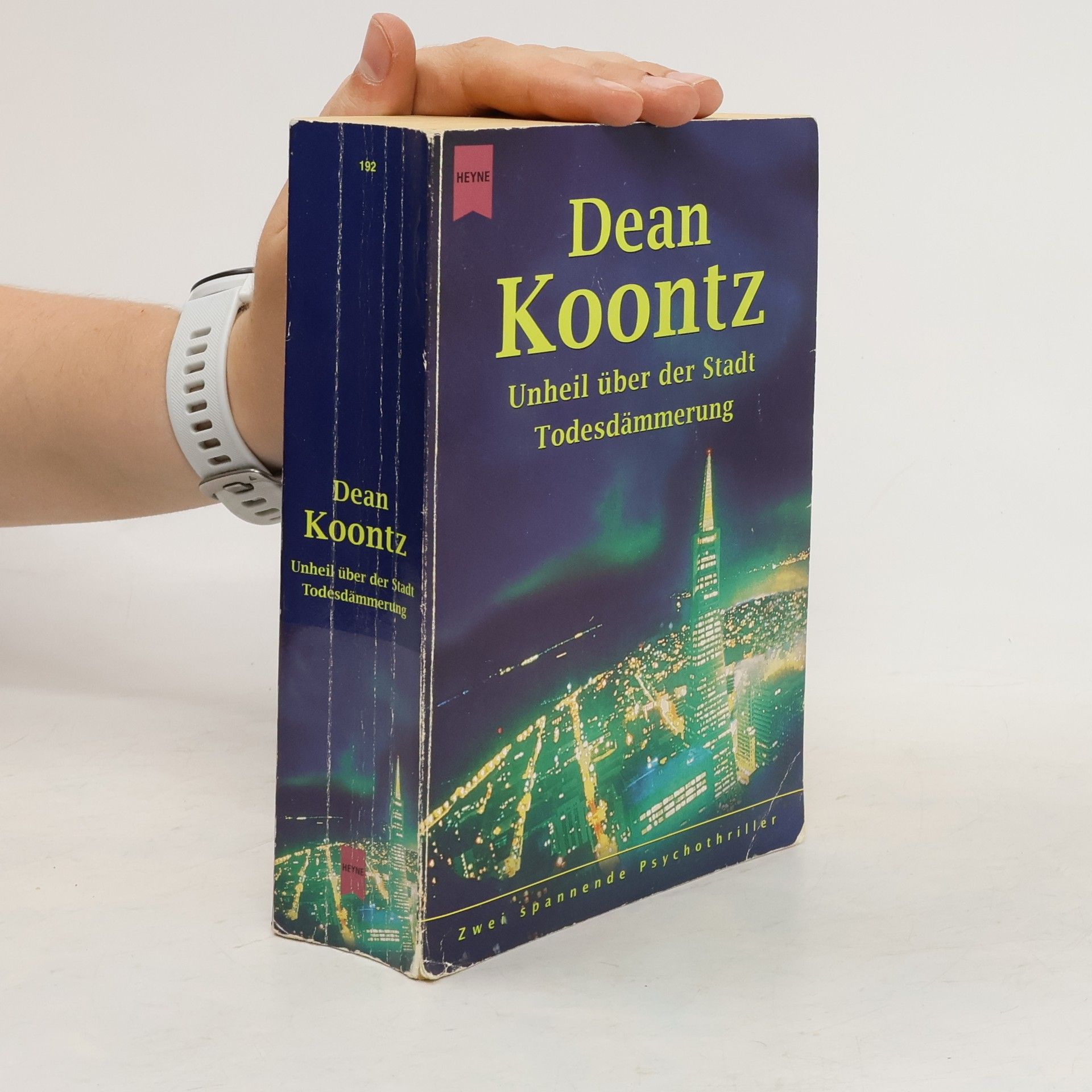 Dean R. Koontz Unheil über der Stadt