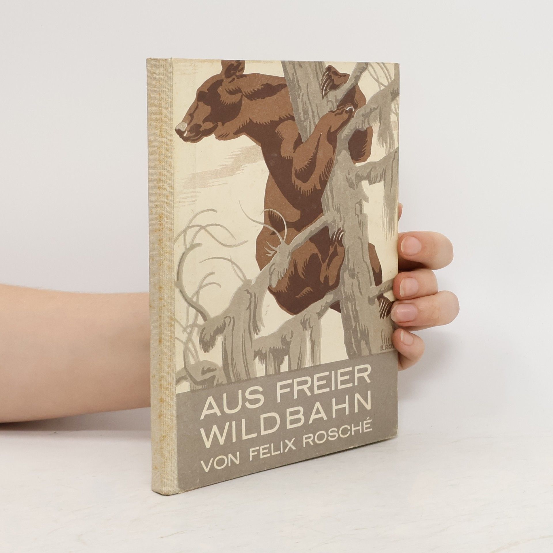 Felix Rosché Aus Freier Wildbahn