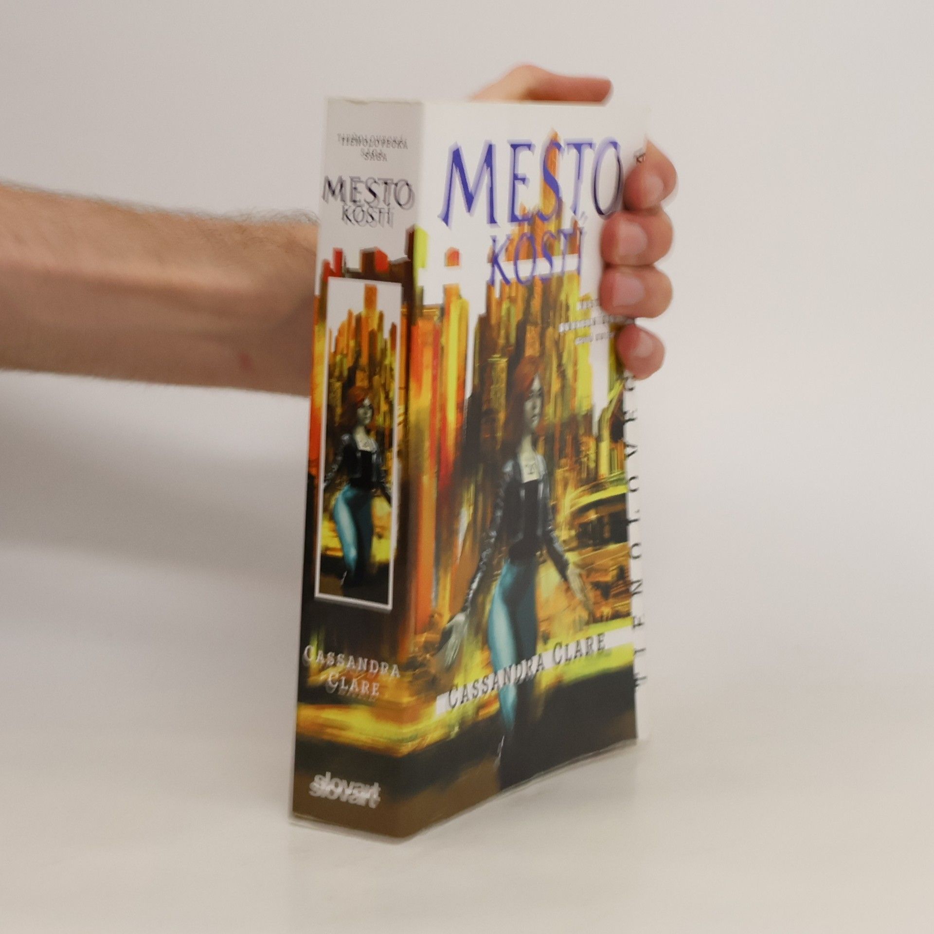Cassandra Clare Mesto kostí