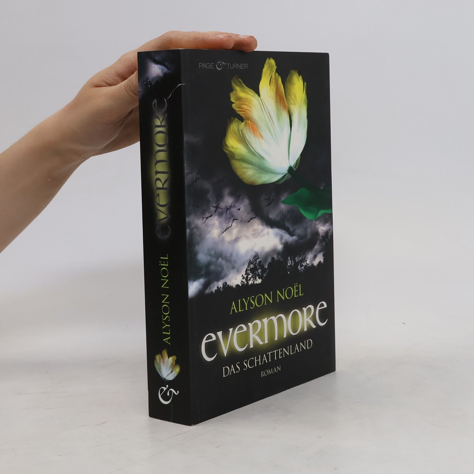 Alyson Noël Evermore: Das Schattenland