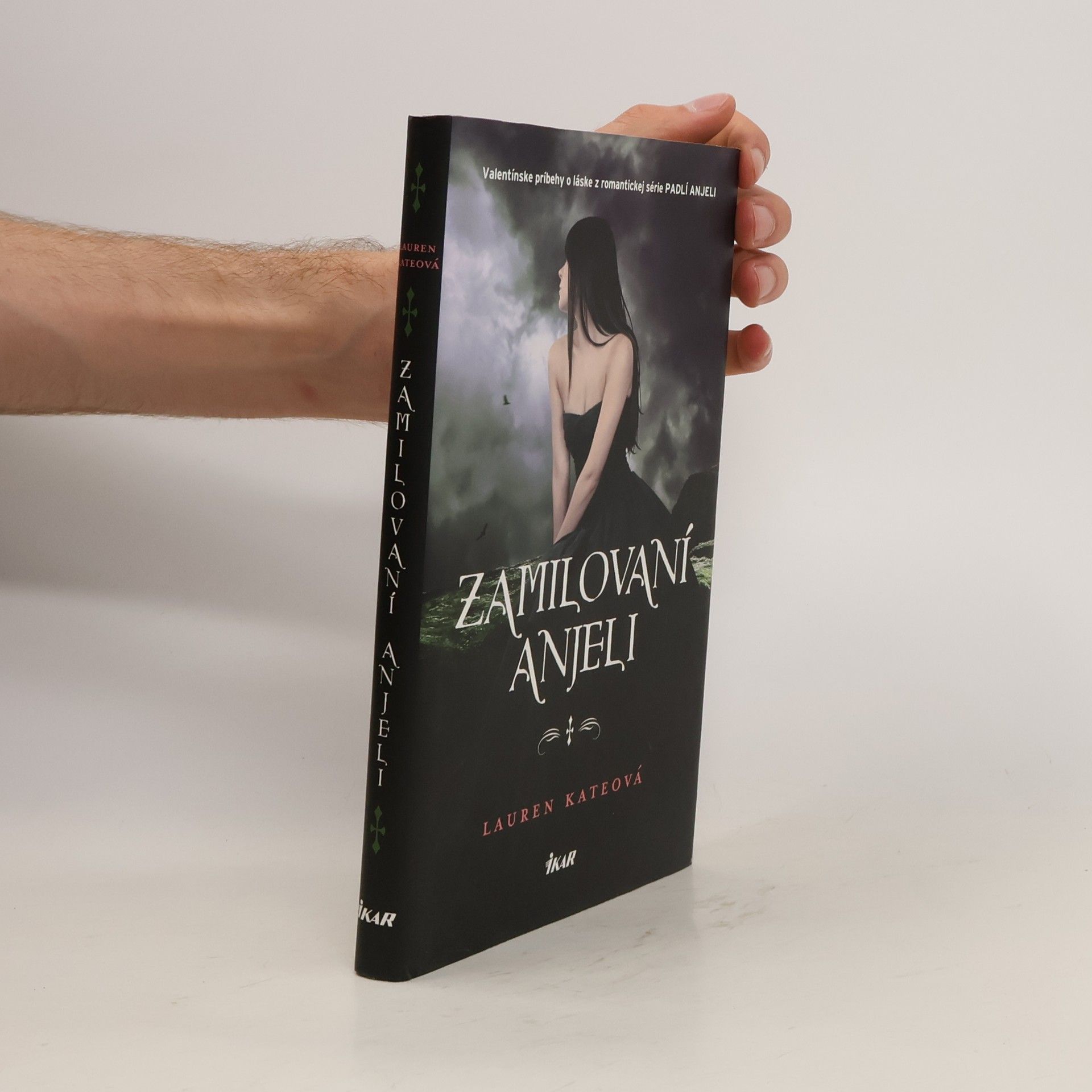 Lauren Kate Zamilovaní anjeli