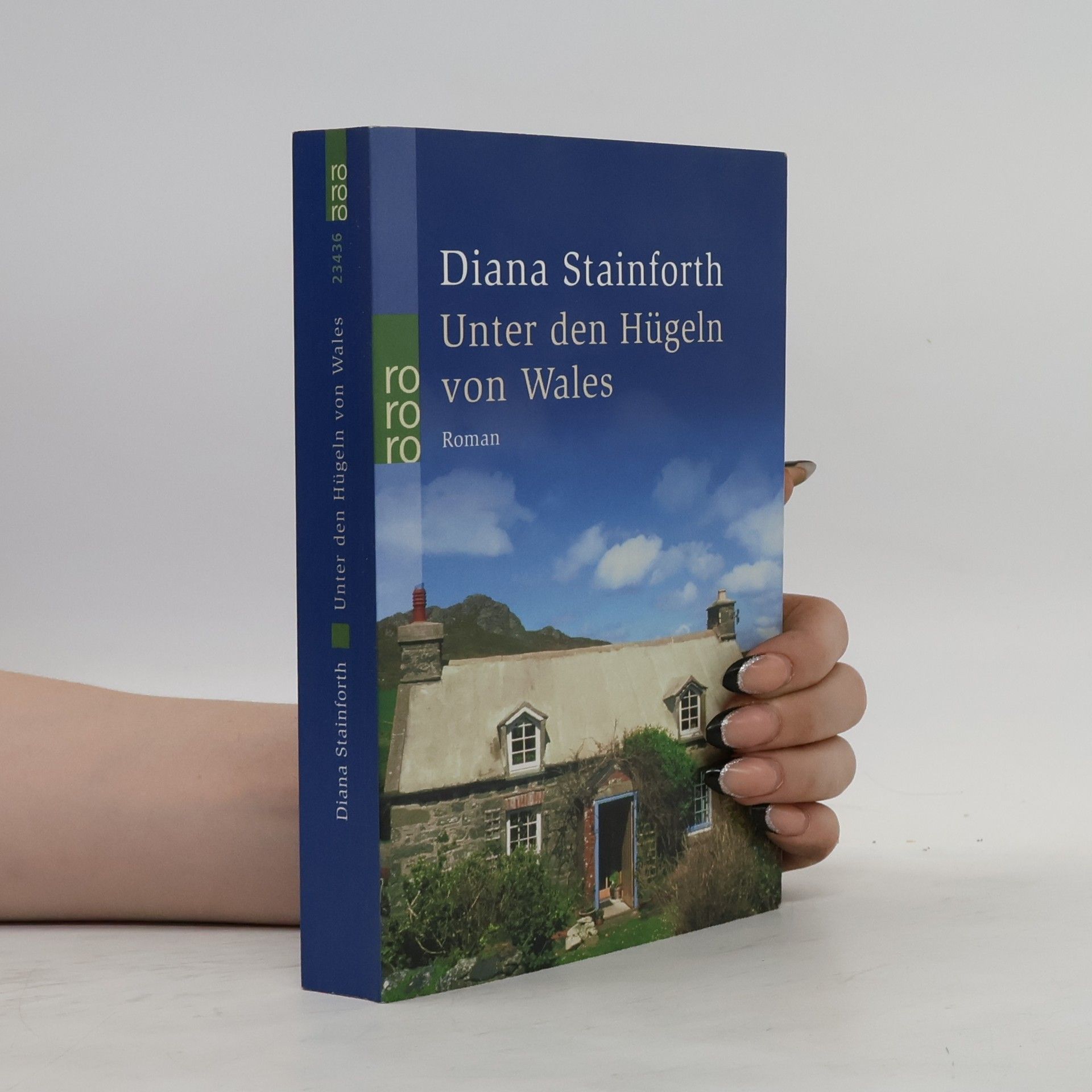 Diana Stainforth Unter den Hügeln von Wales