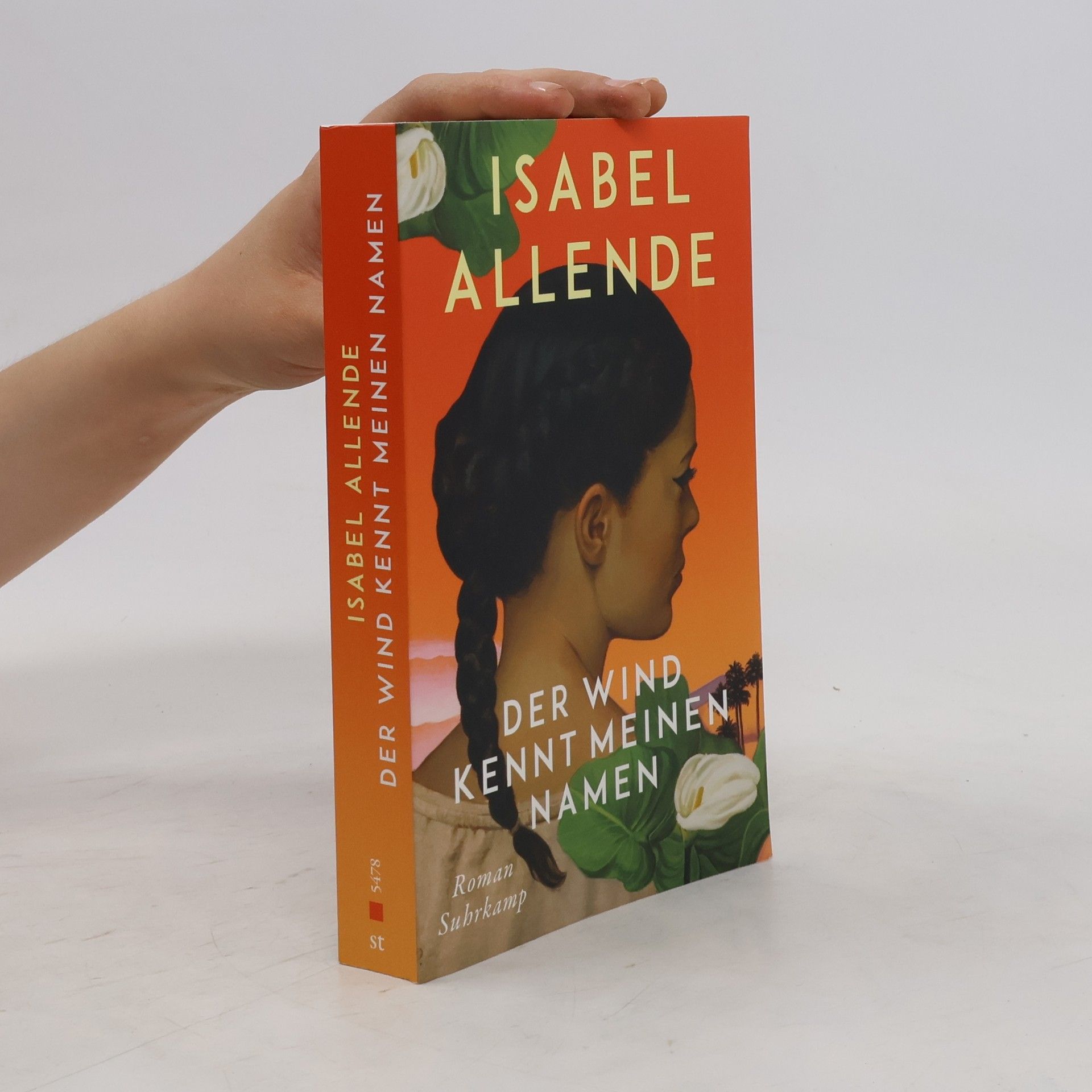 Isabel Allende Llona Der Wind kennt meinen Namen