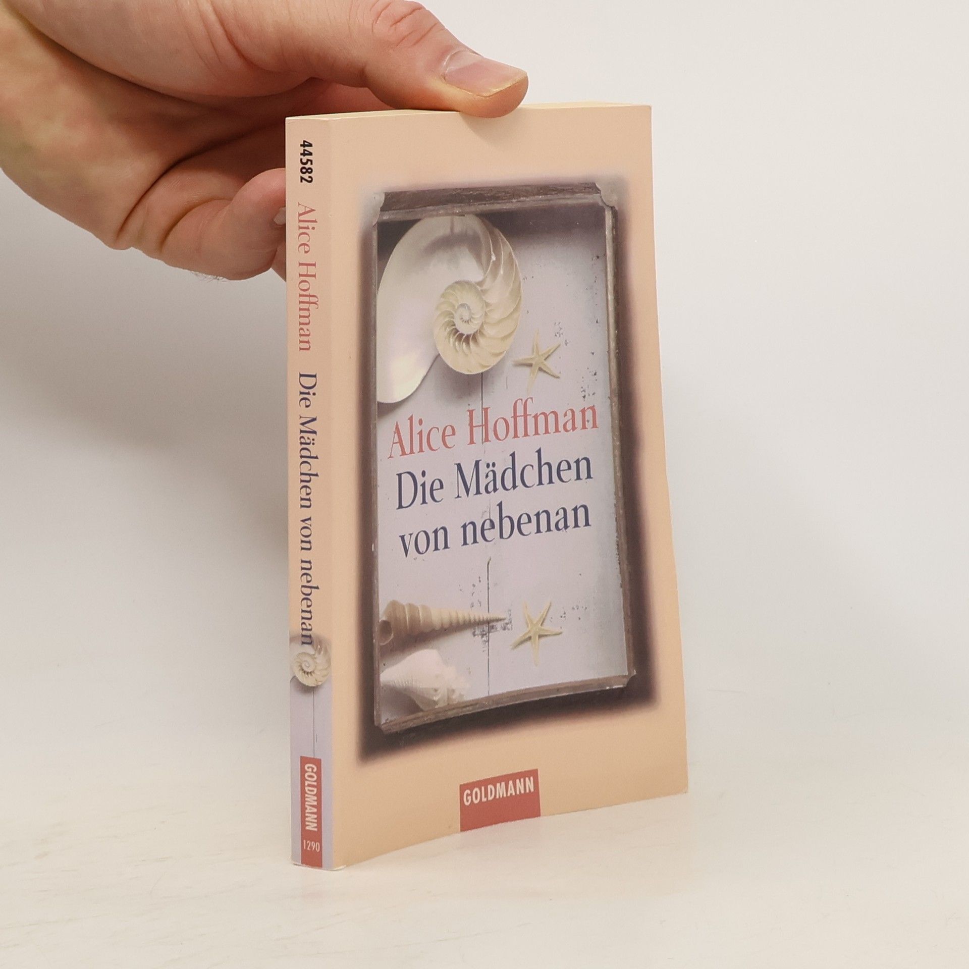 Alice Hoffmann Die Mädchen von nebenan