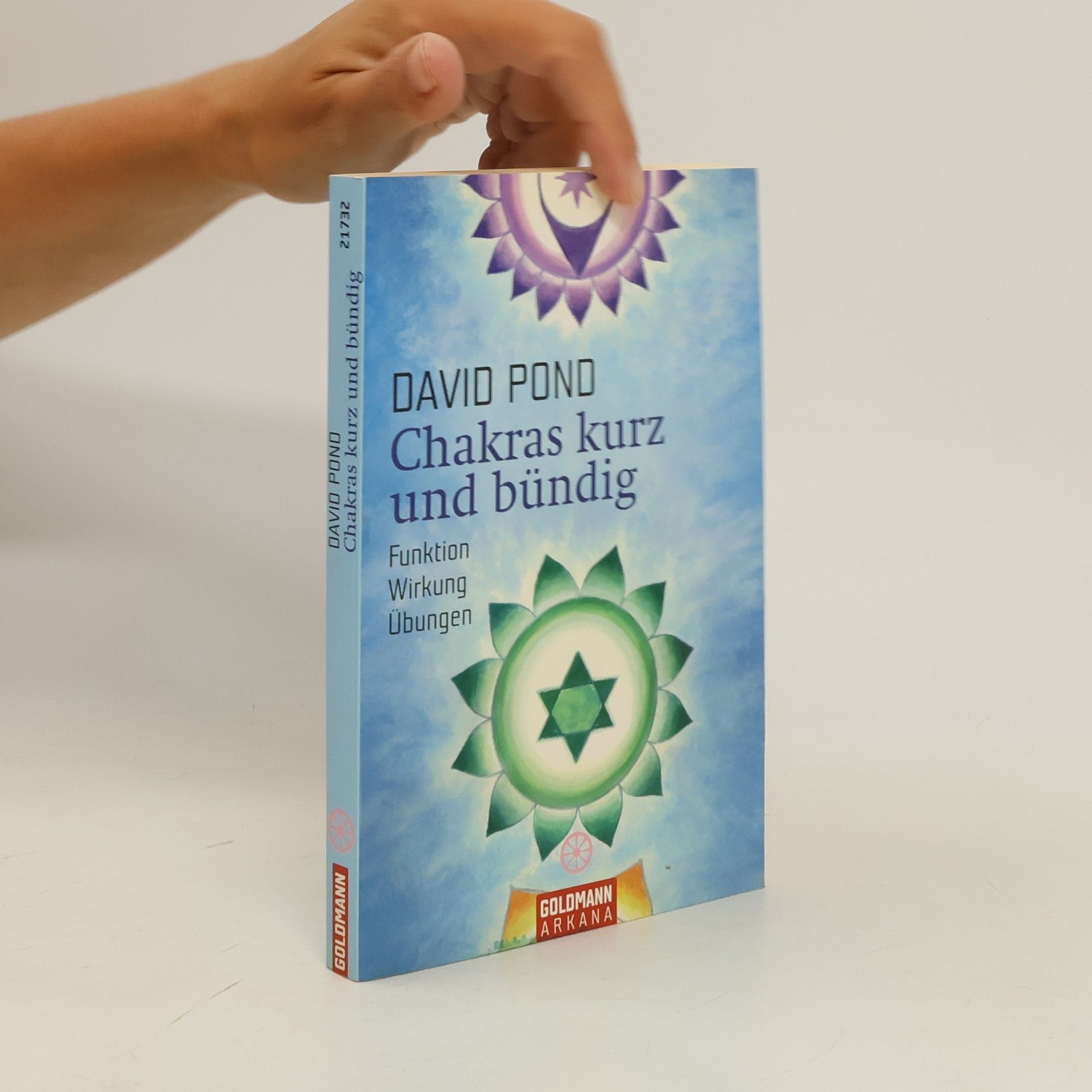 David Pond Chakras kurz und bündig