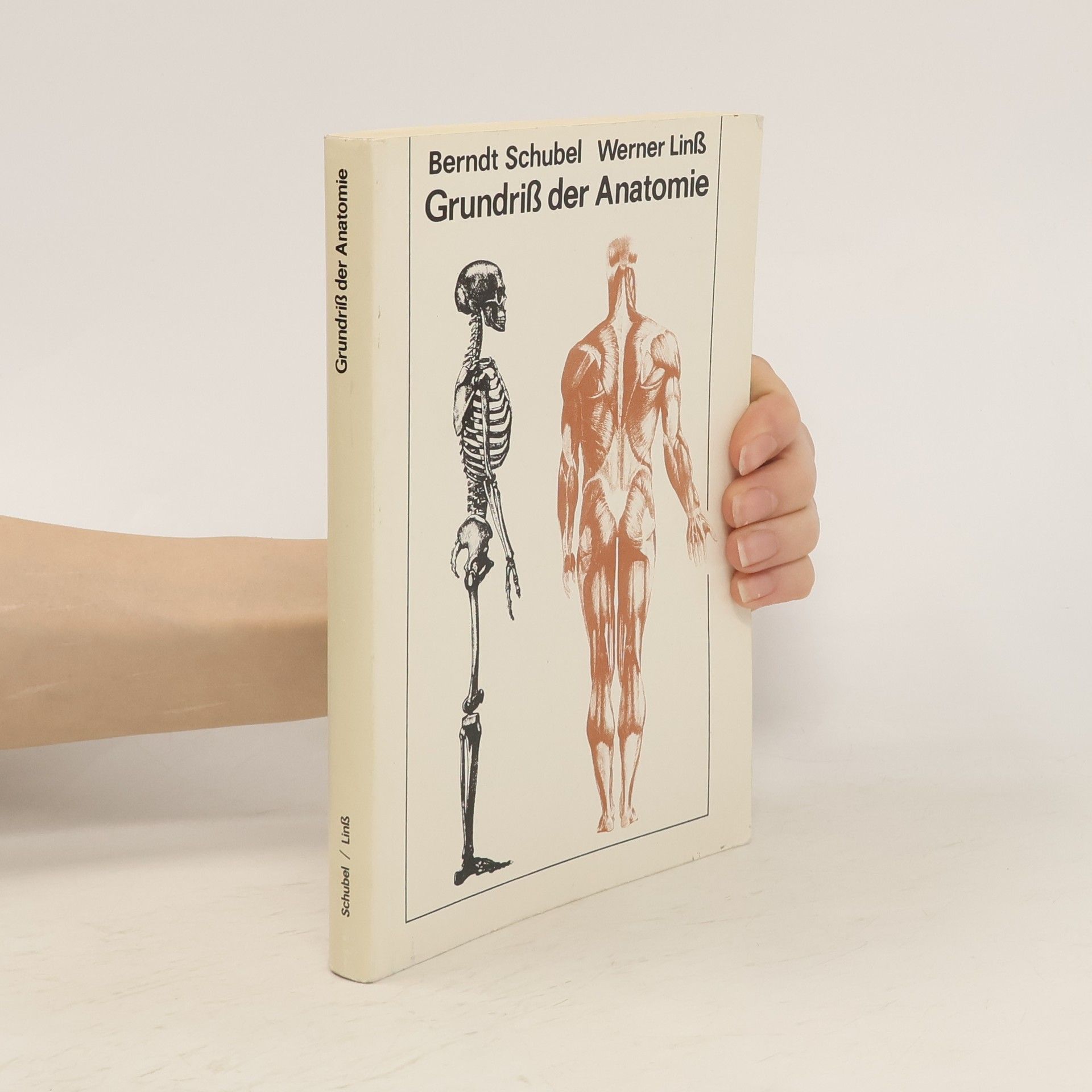 Berndt Schubel Grundriss der Anatomie