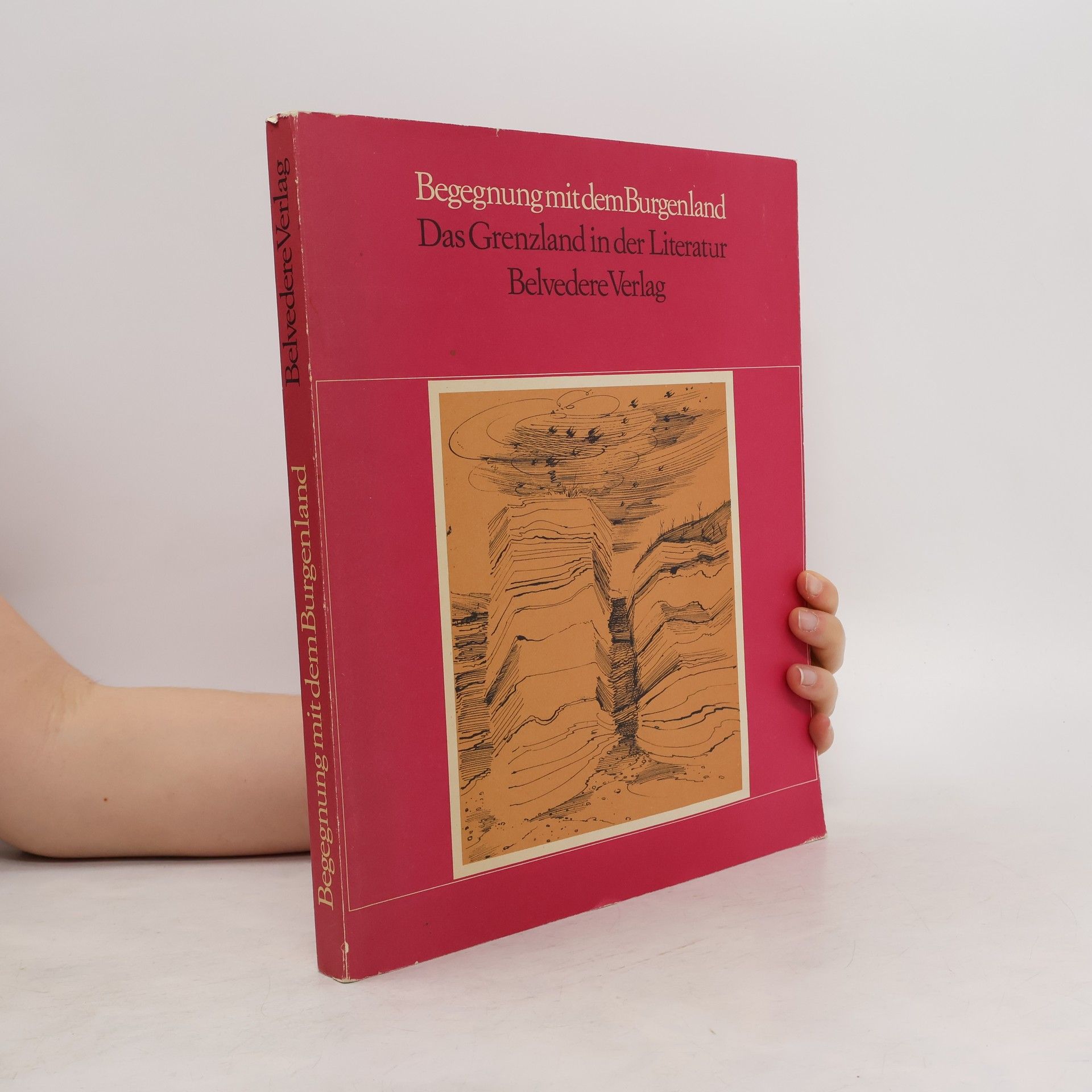 Collective Begegnung mit dem Burgenland. Das Grenzland in der Literatur