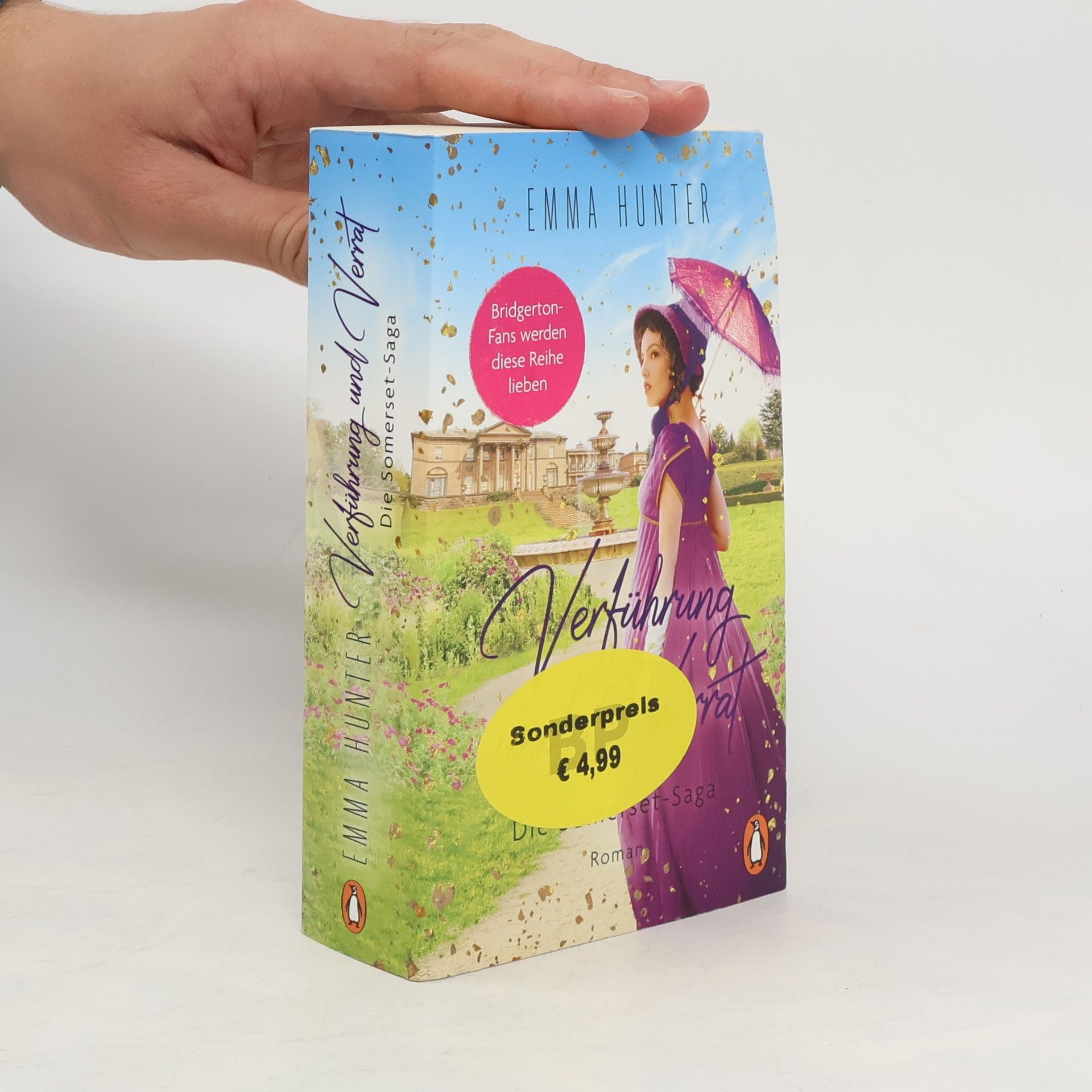 Dawn Baker Verführung und Verrat. Die Somerset-Saga (2)