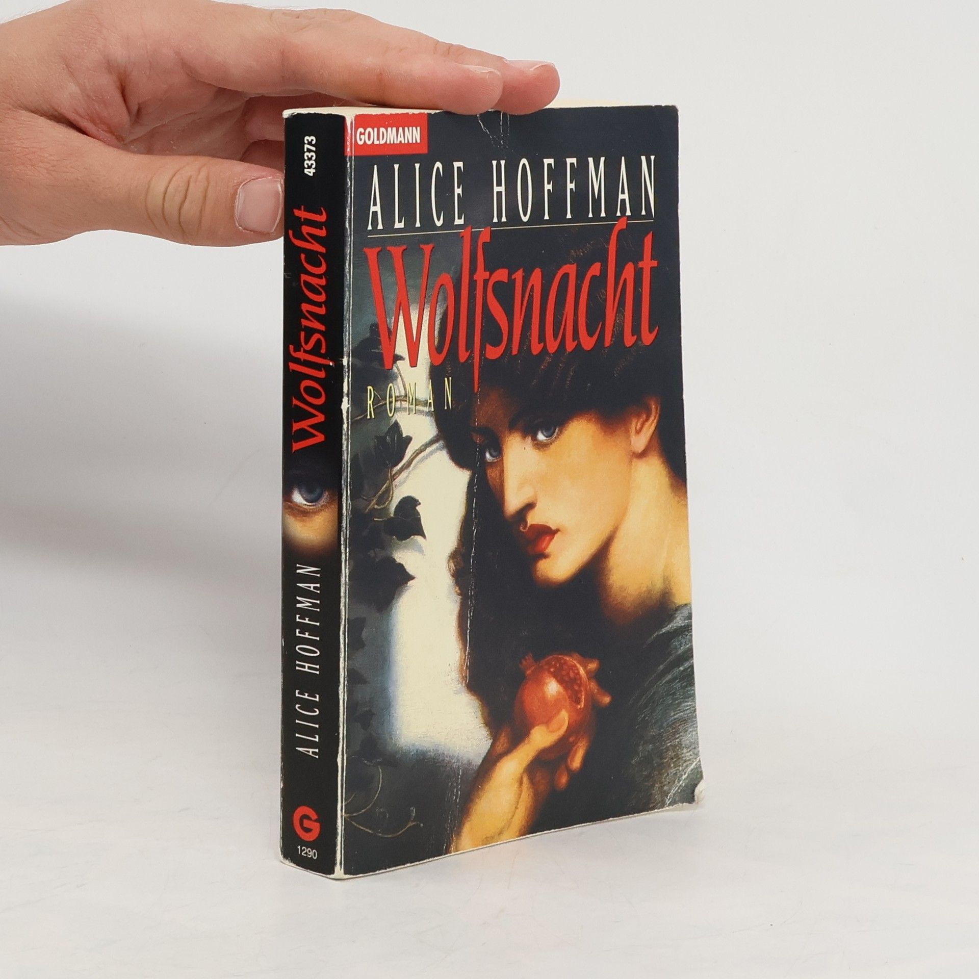 Alice Hoffmann Wolfsnacht