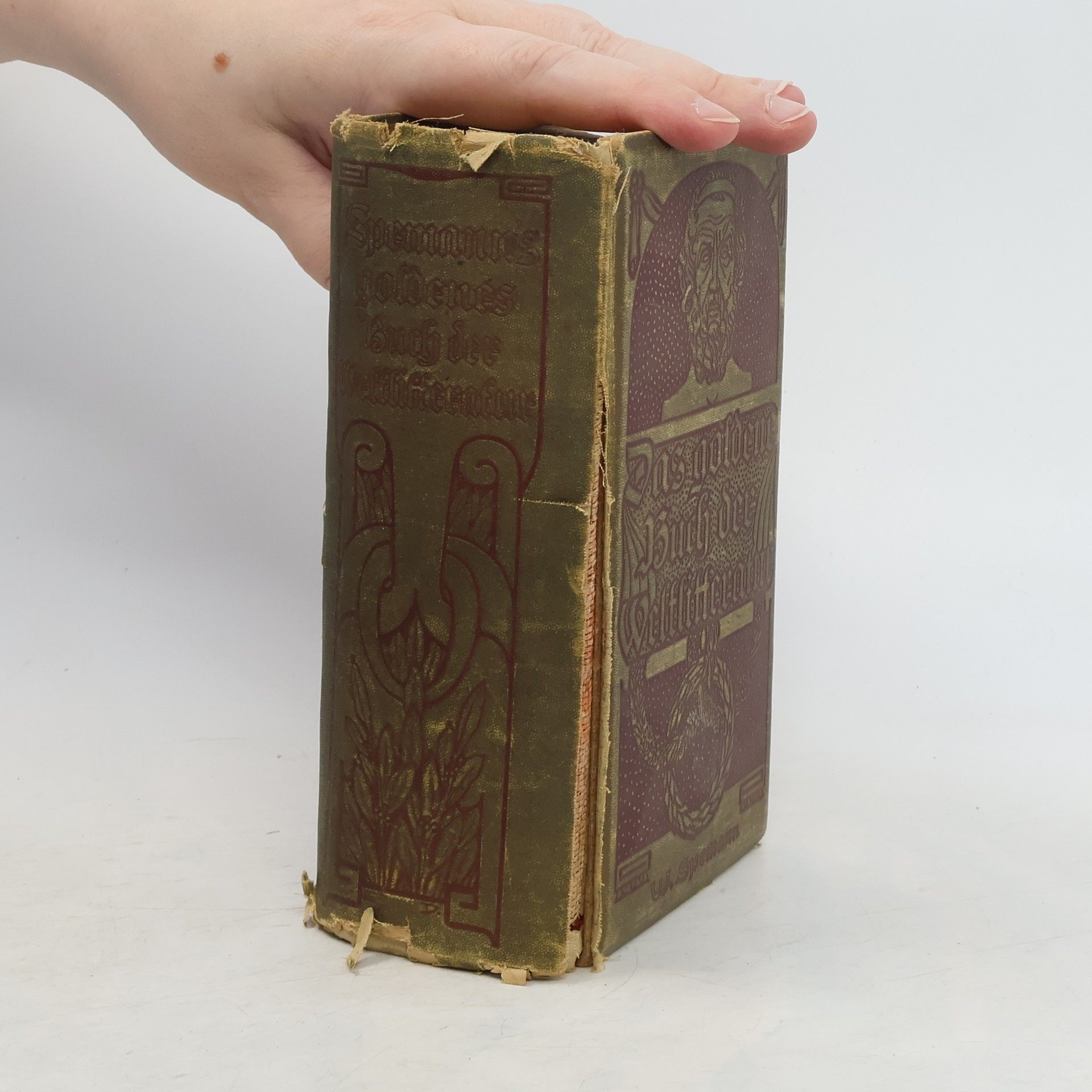 Eduard Bertz Spemanns goldenes Buch der Weltlitteratur