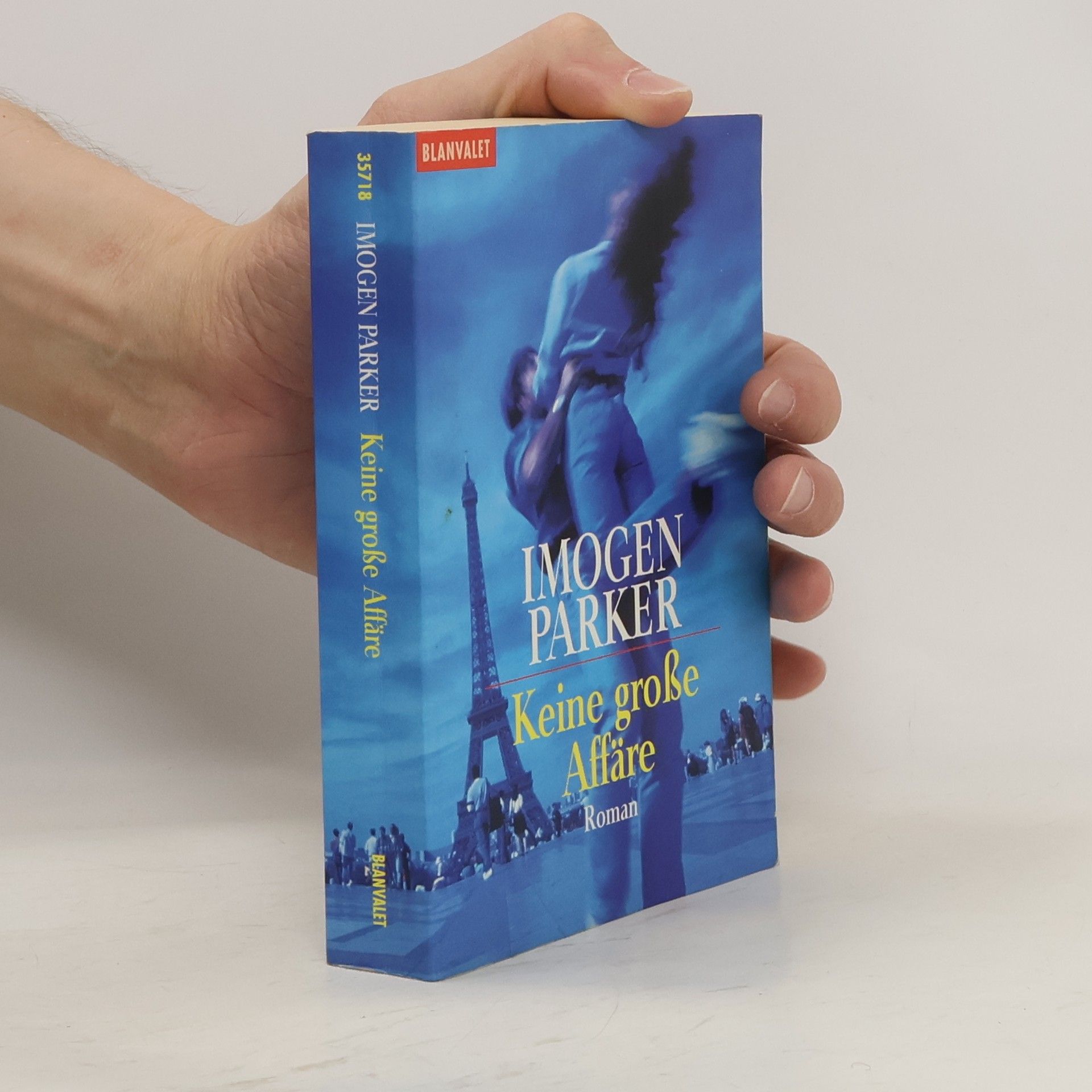 Imogen Parker Keine große Affäre. Roman. Aus d. Engl. v. Anje Althans