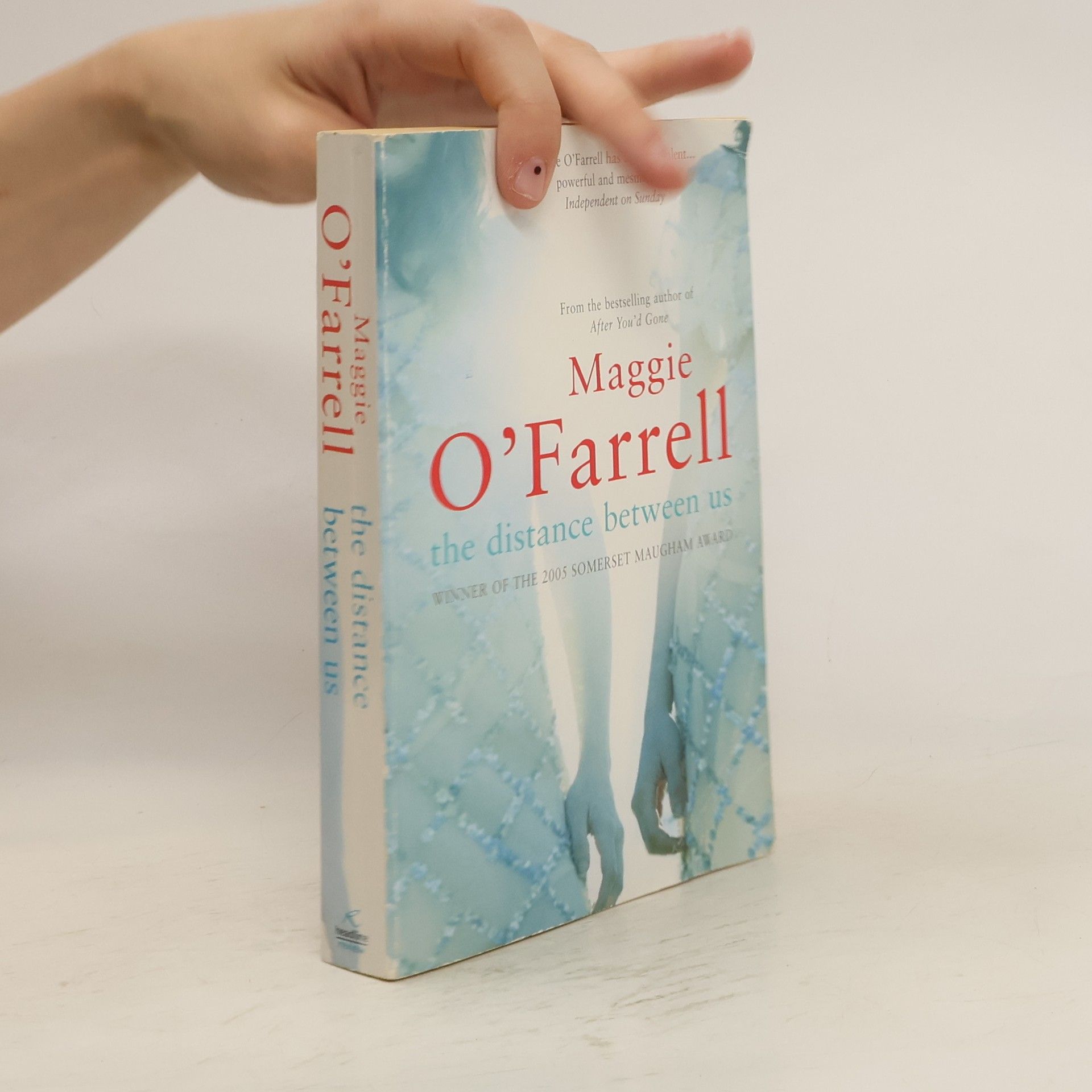 Maggie O. Farrell The distance between us