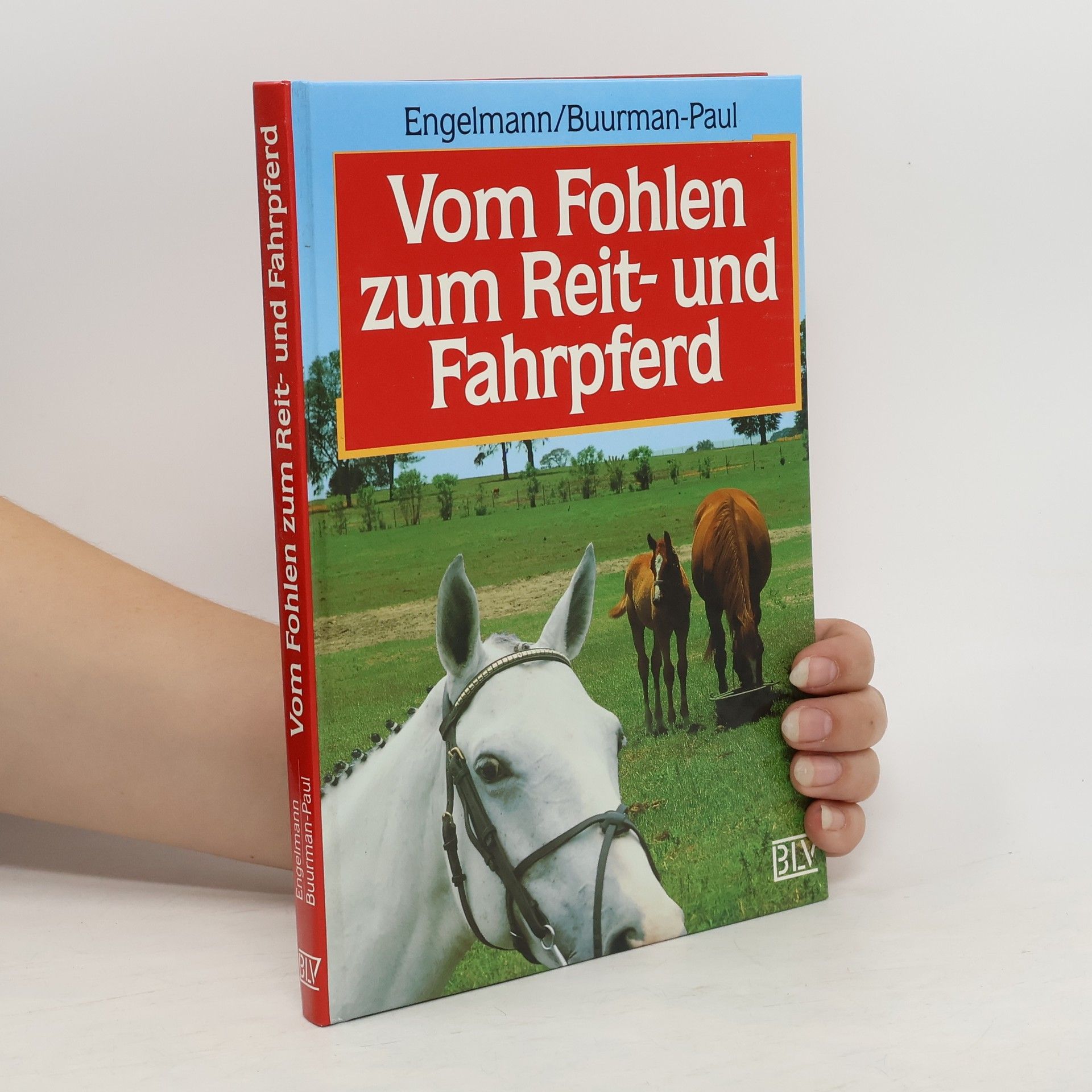 Uta Engelmann Vom Fohlen zum Reit- und Fahrpferd