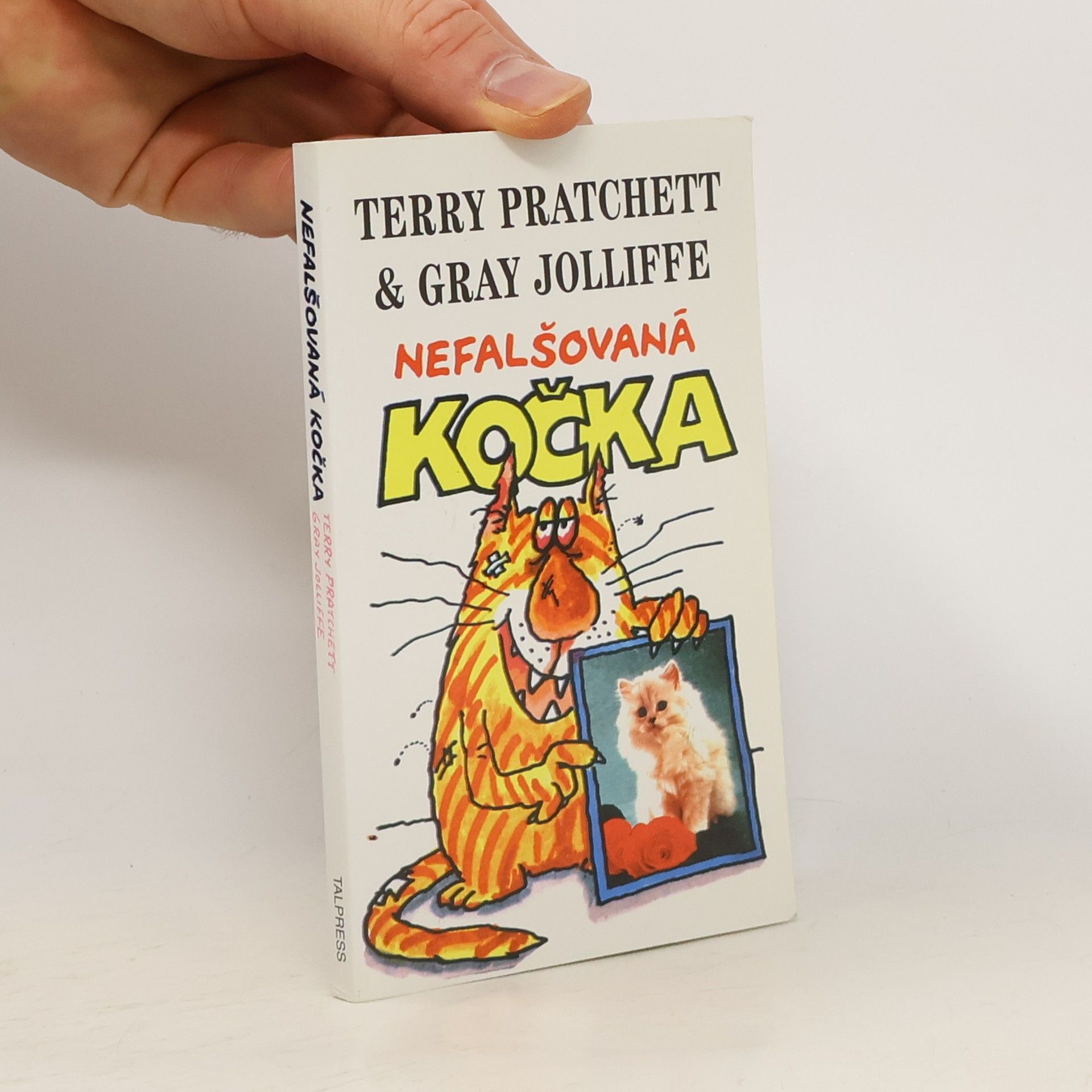 Terry Pratchett Nefalšovaná kočka