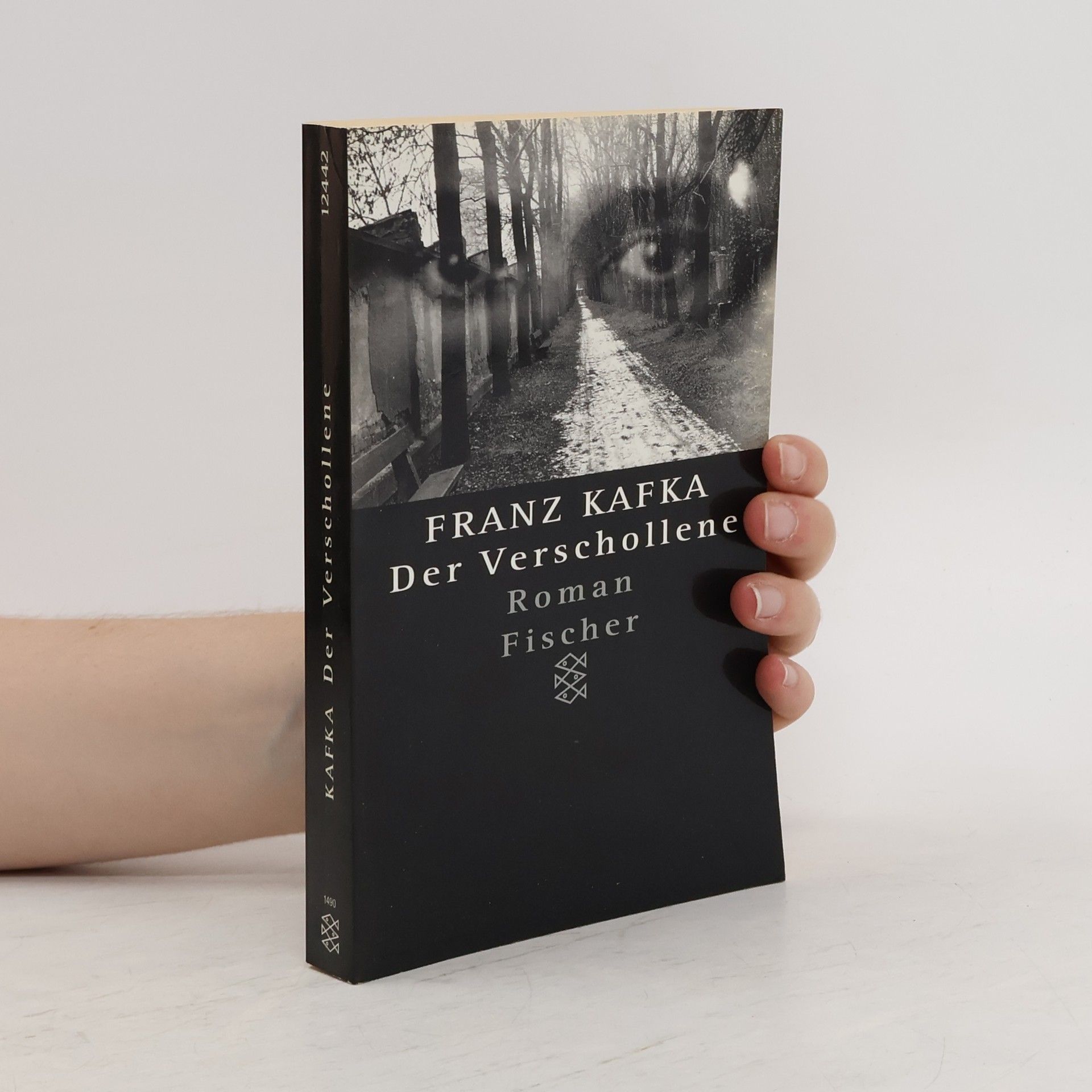 Franz Kafka Der Verschollene : Roman : in der Fassung der Handschrift
