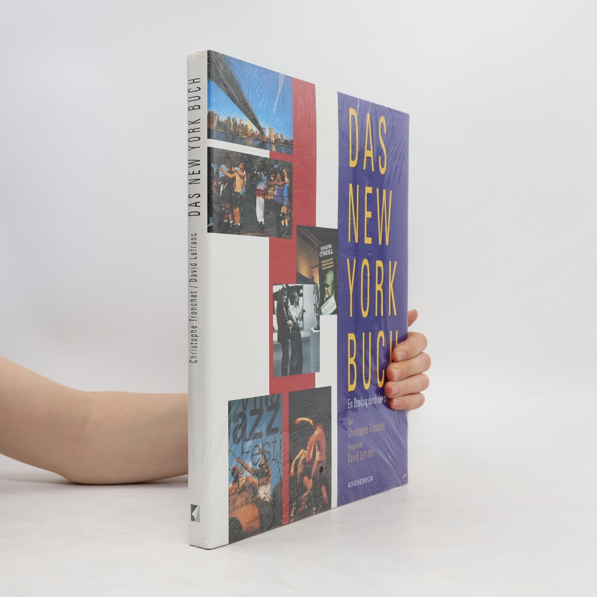 Christophe Tronchet Das New-York-Buch