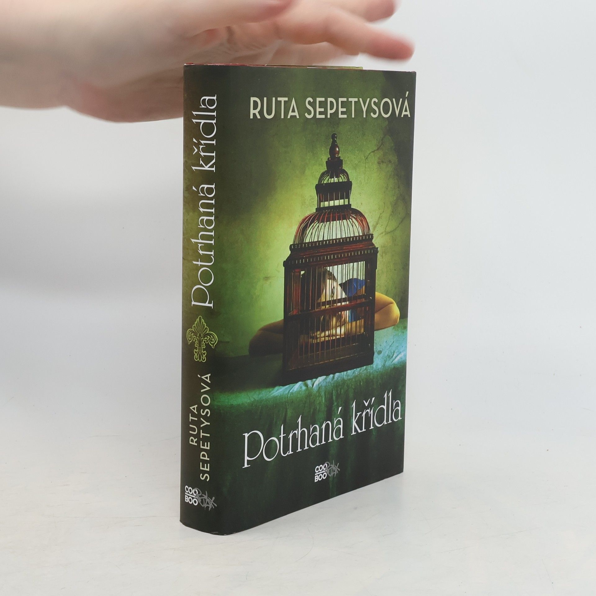 Ruta Sepetys Potrhaná křídla