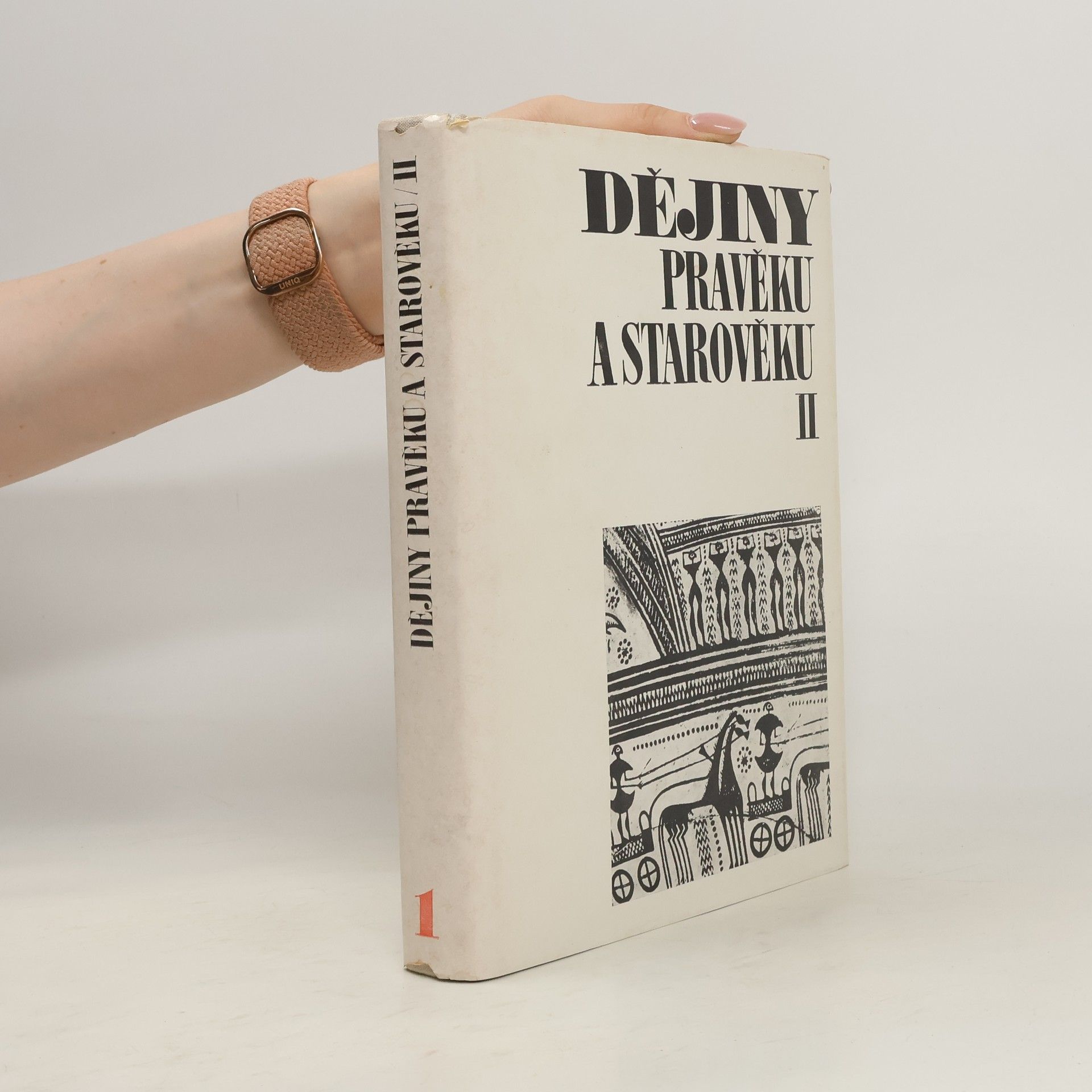 Jan Pečírka Dějiny pravěku a starověku II