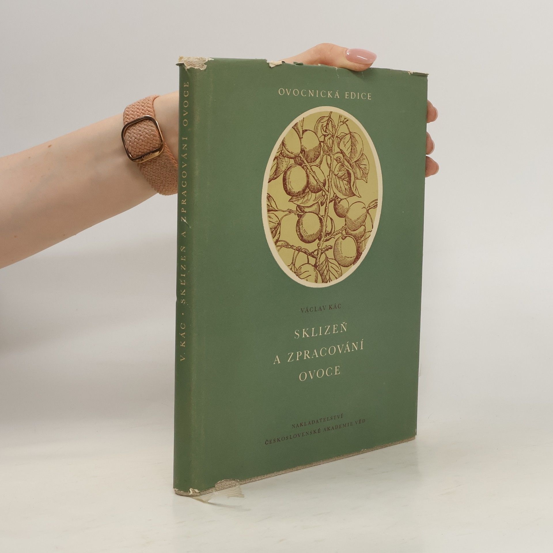 Sklizeň a zpracování ovoce