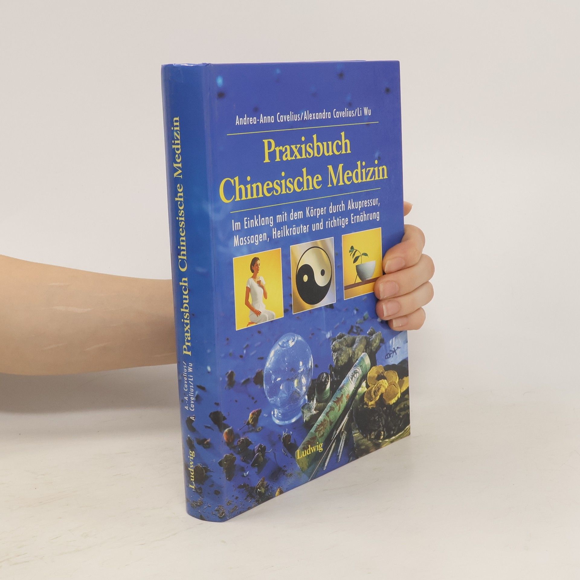Andrea-Anna Cavelius Praxisbuch chinesische Medizin