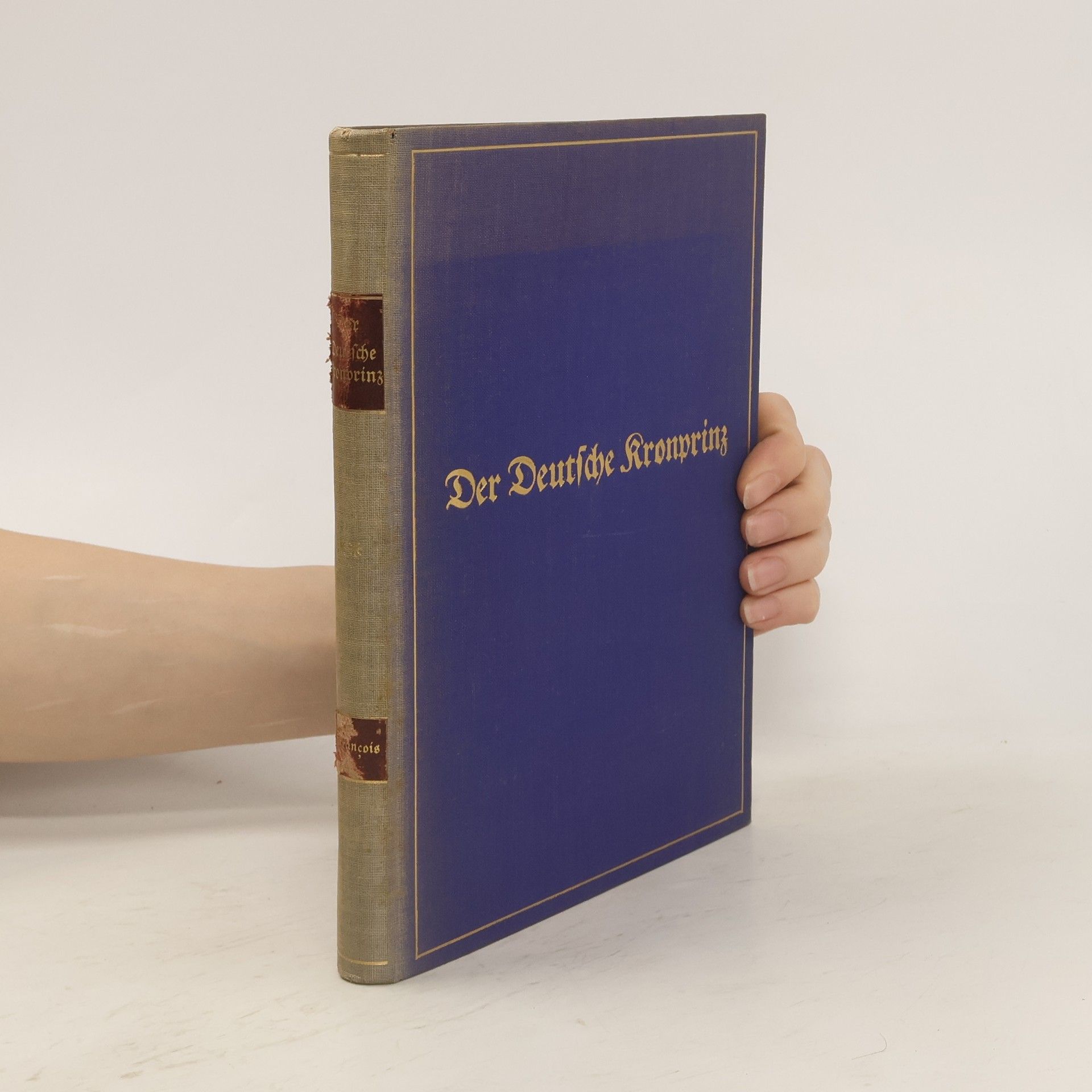 Hermann von François Der Deutsche Kronprinz. Der Soldat und Heerführer