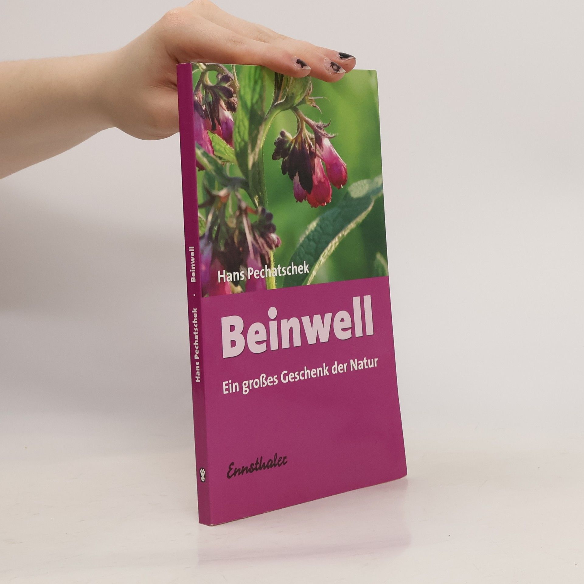 Hans Pechatschek Beinwell