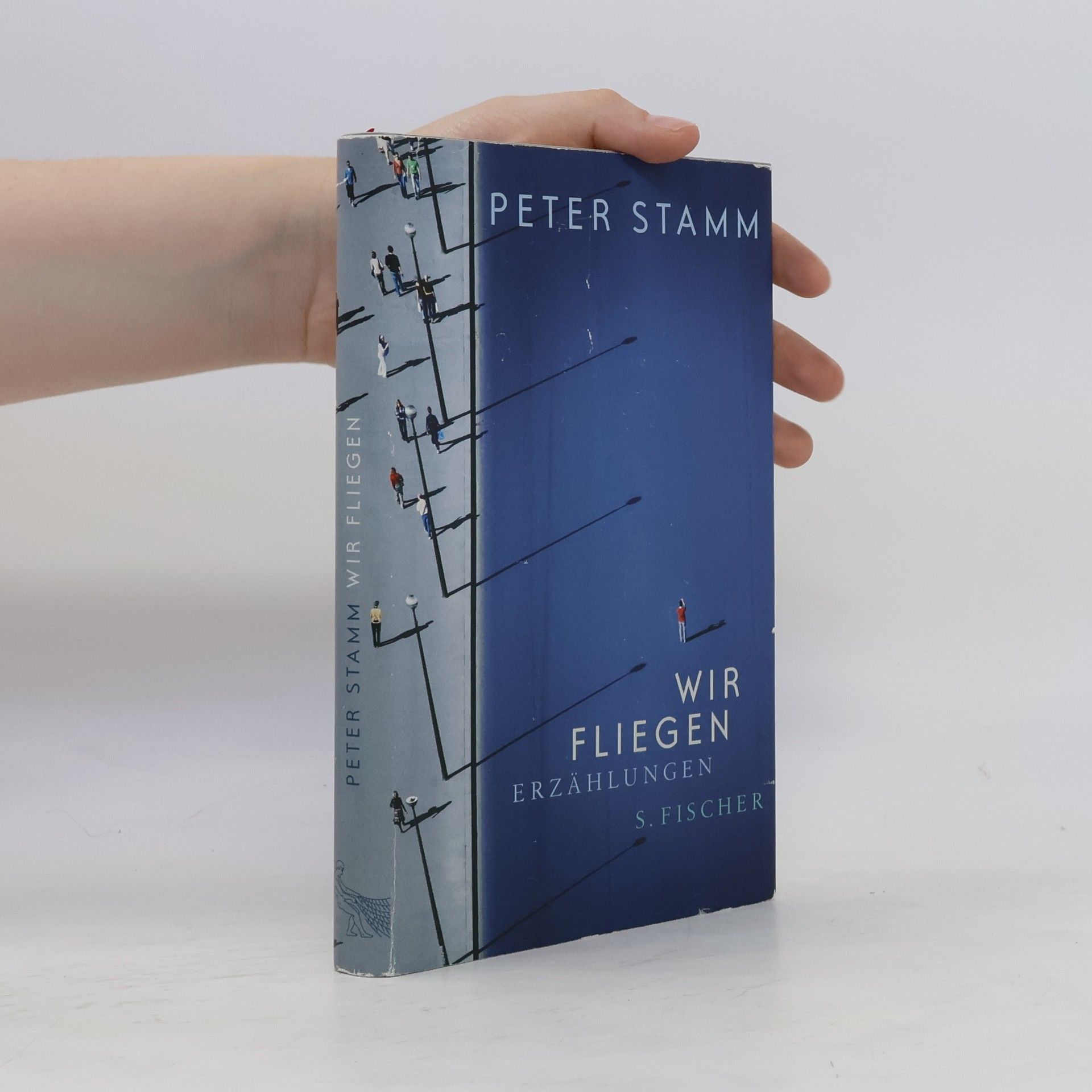 Peter Stamm Wir fliegen