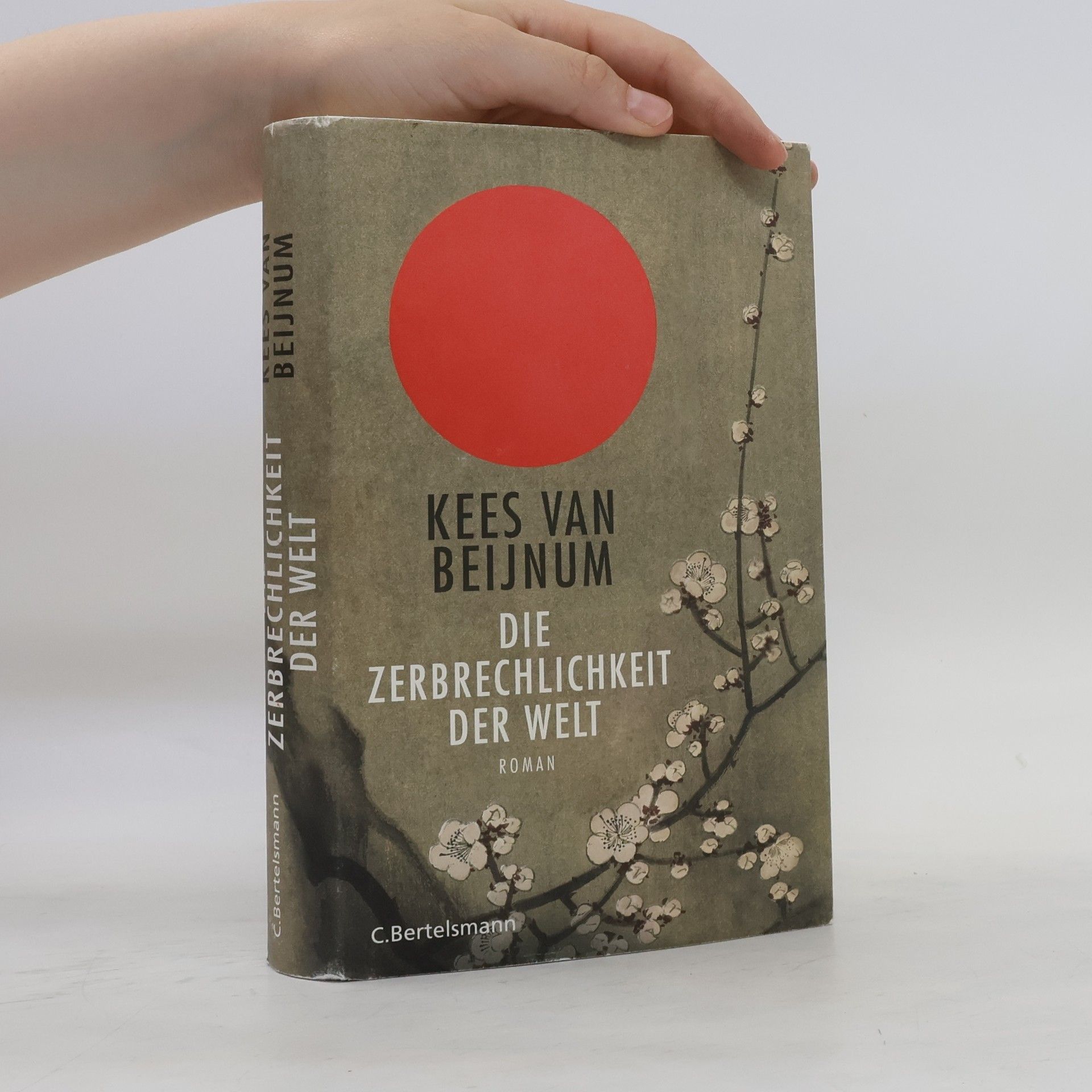 Kees van Beijnum Die Zerbrechlichkeit der Welt