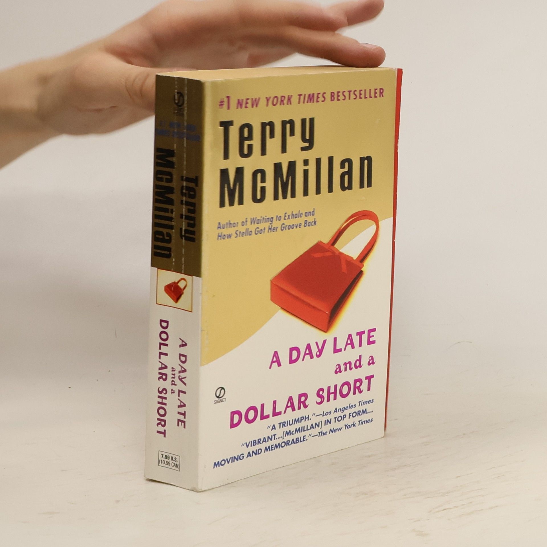 McMillan Terry A Day Late and a Dollar Short