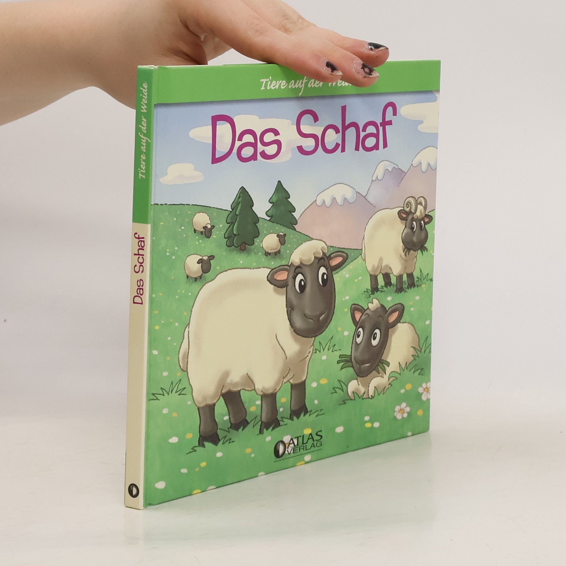 Autorenkollektiv Tiere auf der Weide. Das Schaf