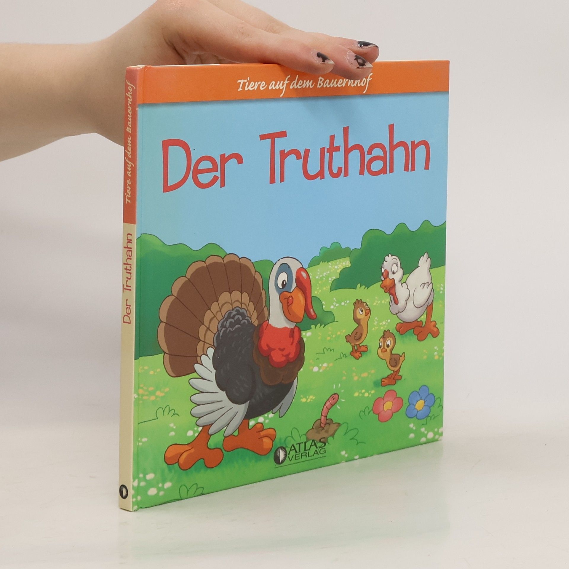 Autorenkollektiv Der Truthahn