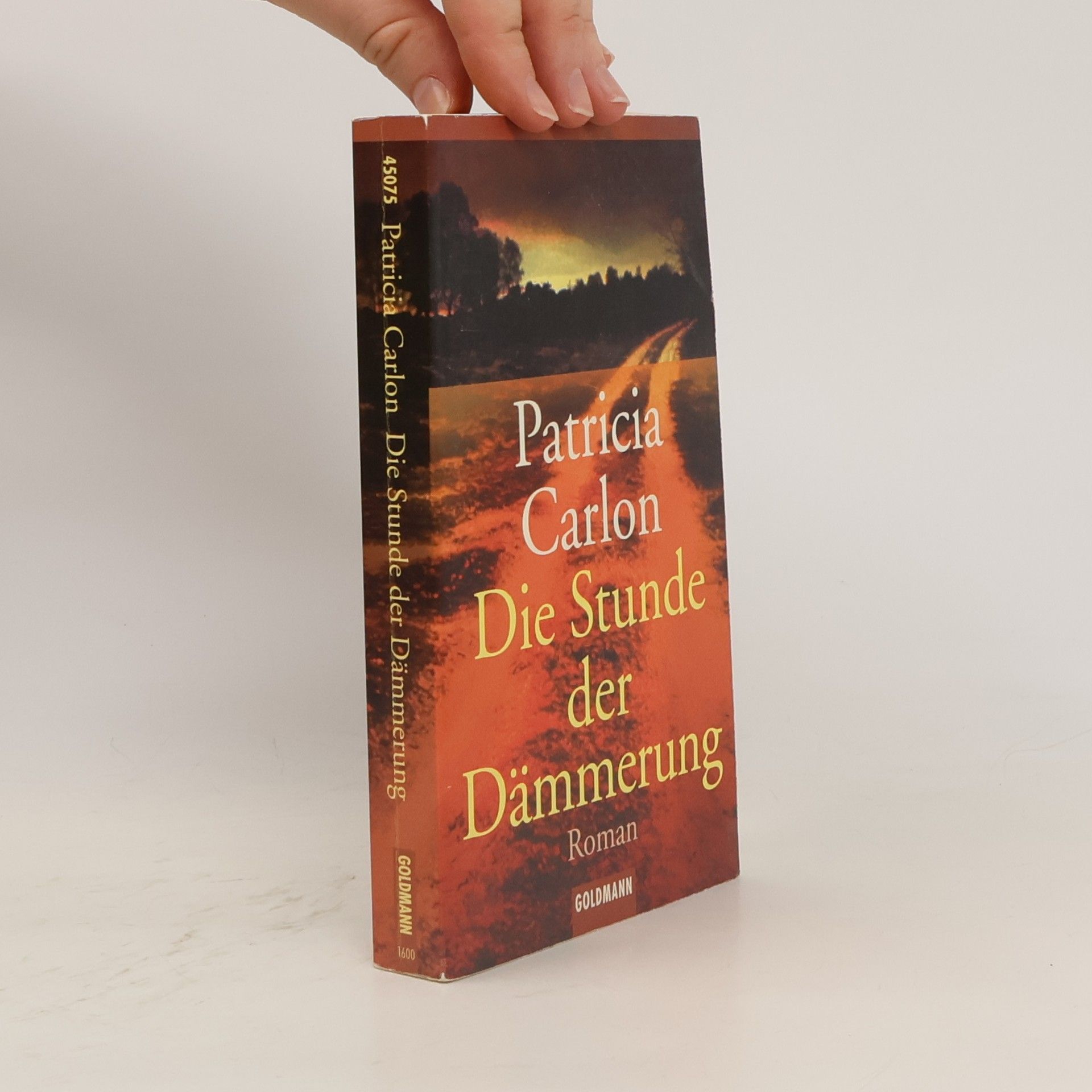 Patricia Carlon Die Stunde der Dämmerung