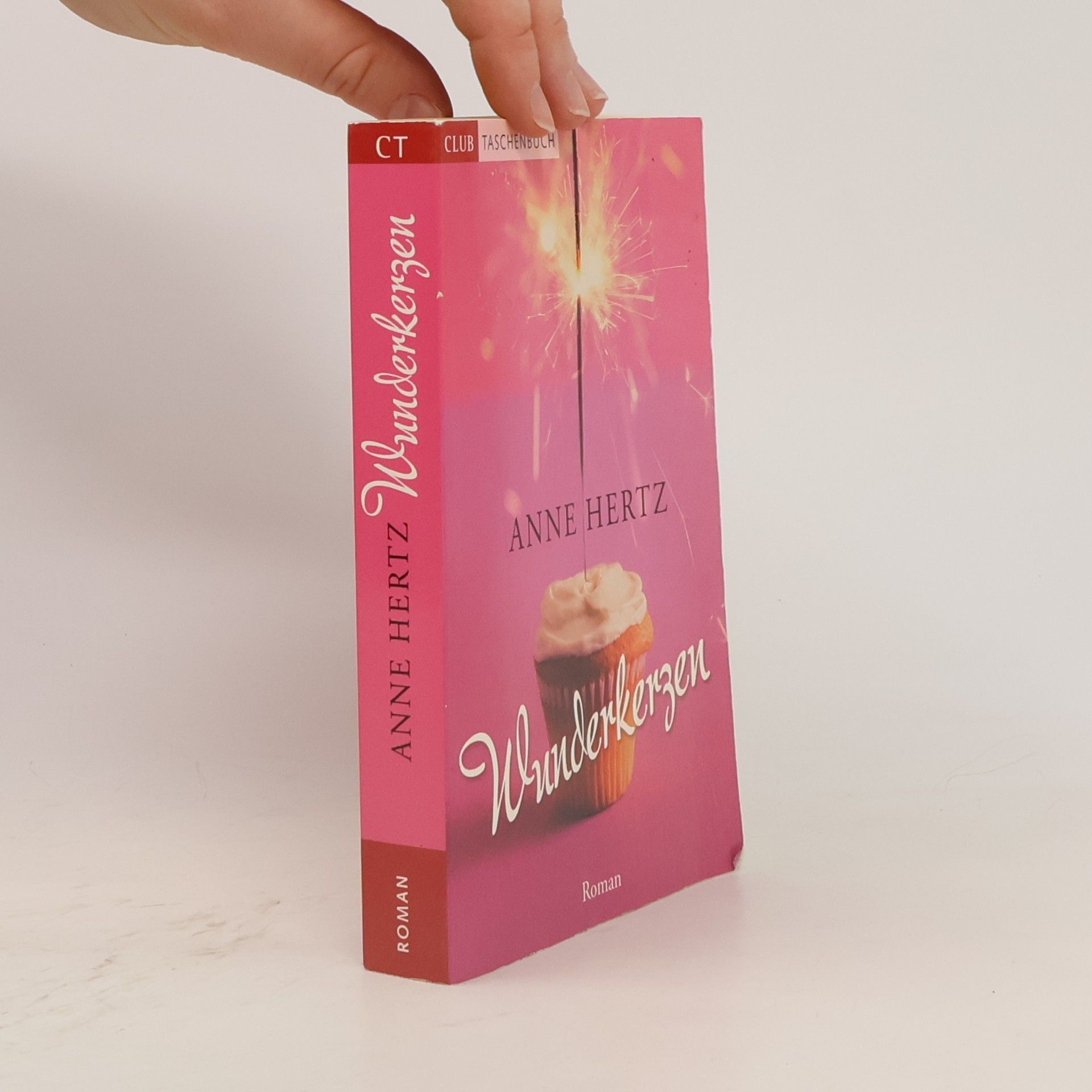 Anne Hertz Wunderkerzen