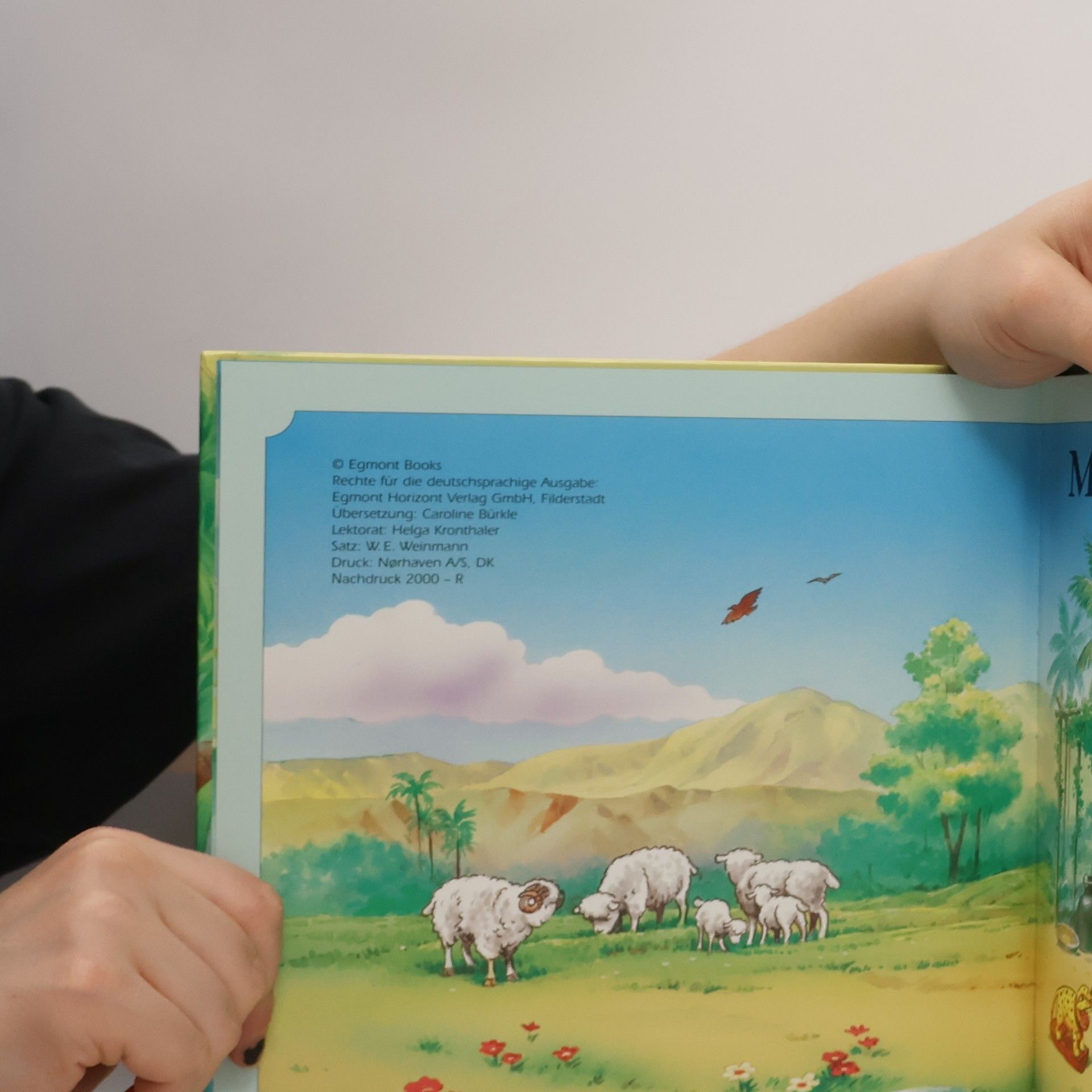 Autorenkollektiv Moses wird gerettet
