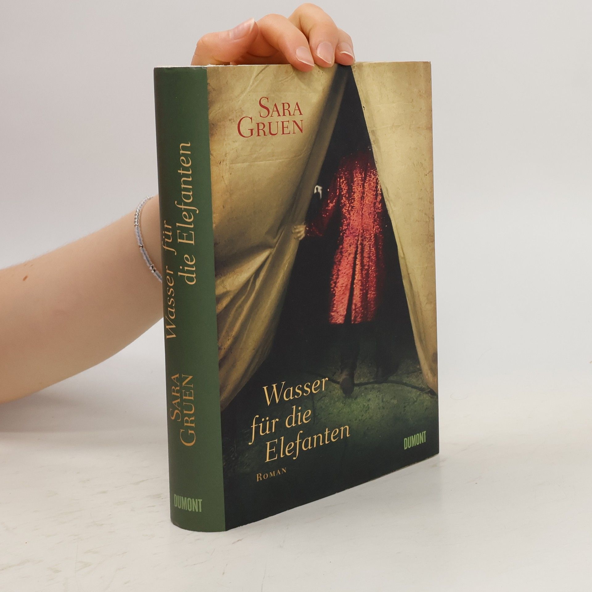Sara Gruen Wasser für die Elefanten