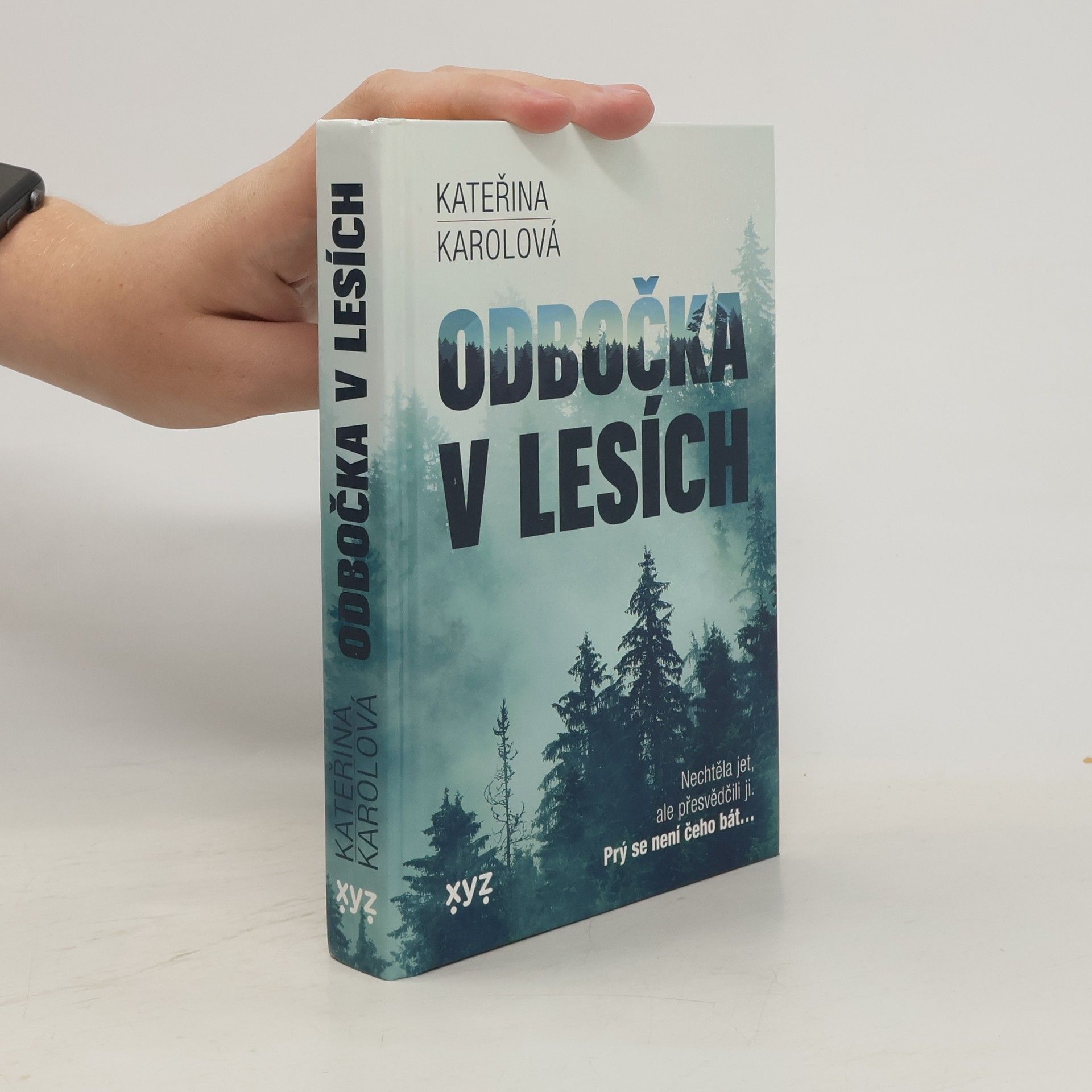 Kateřina Karolová Odbočka v lesích