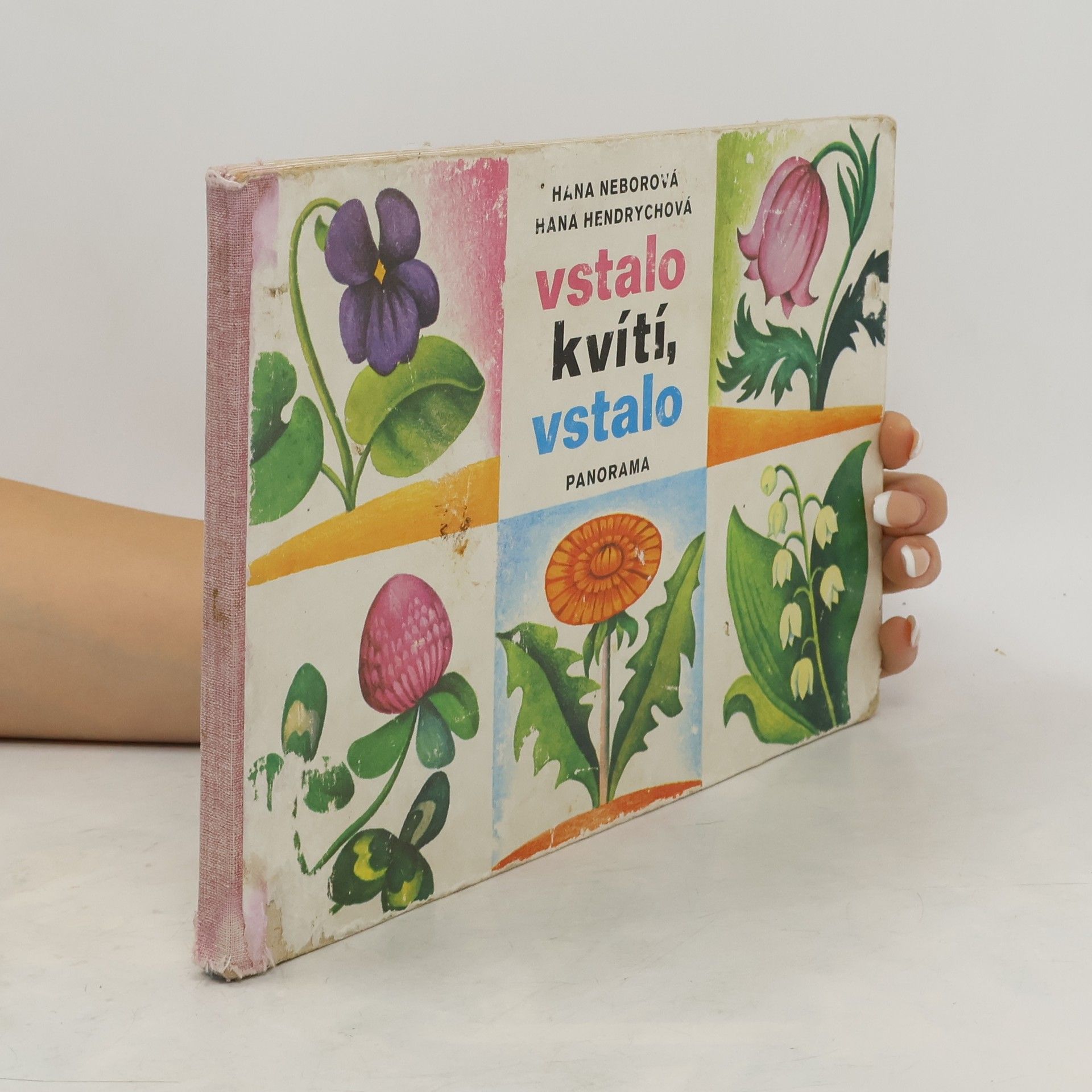 Hana Neborová Vstalo kvítí, vstalo