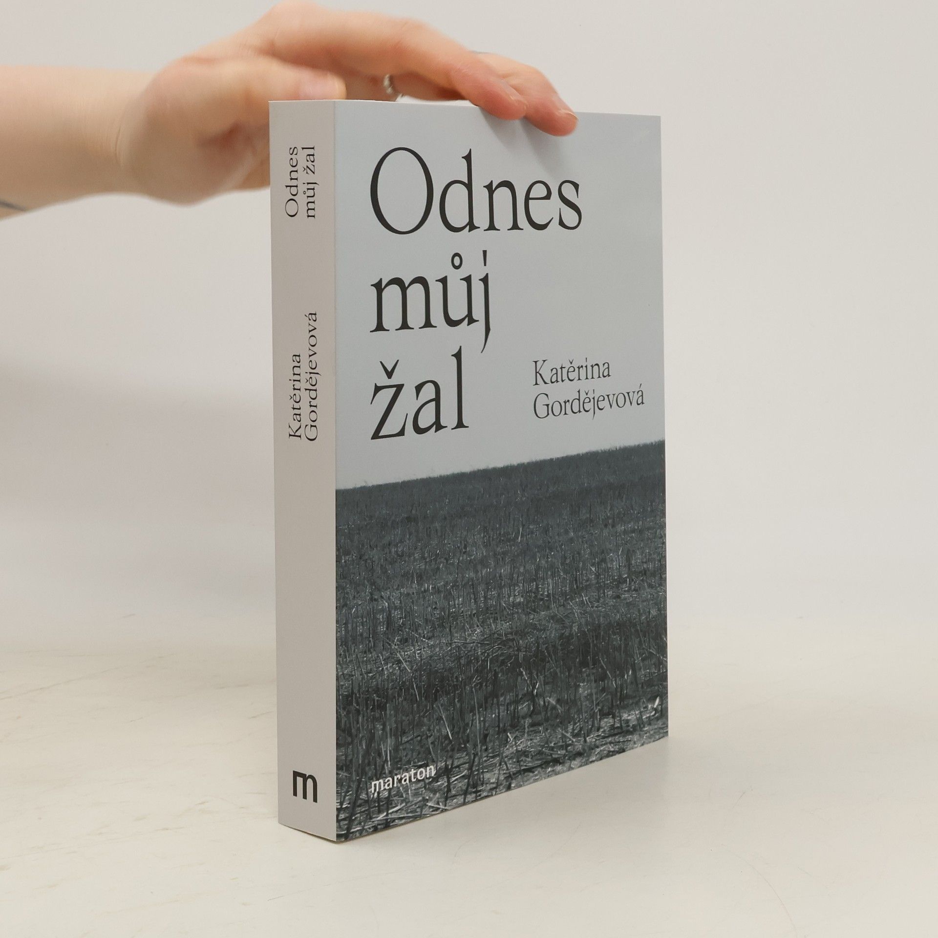 Katerina Vladimirovna Gordejeva Odnes můj žal