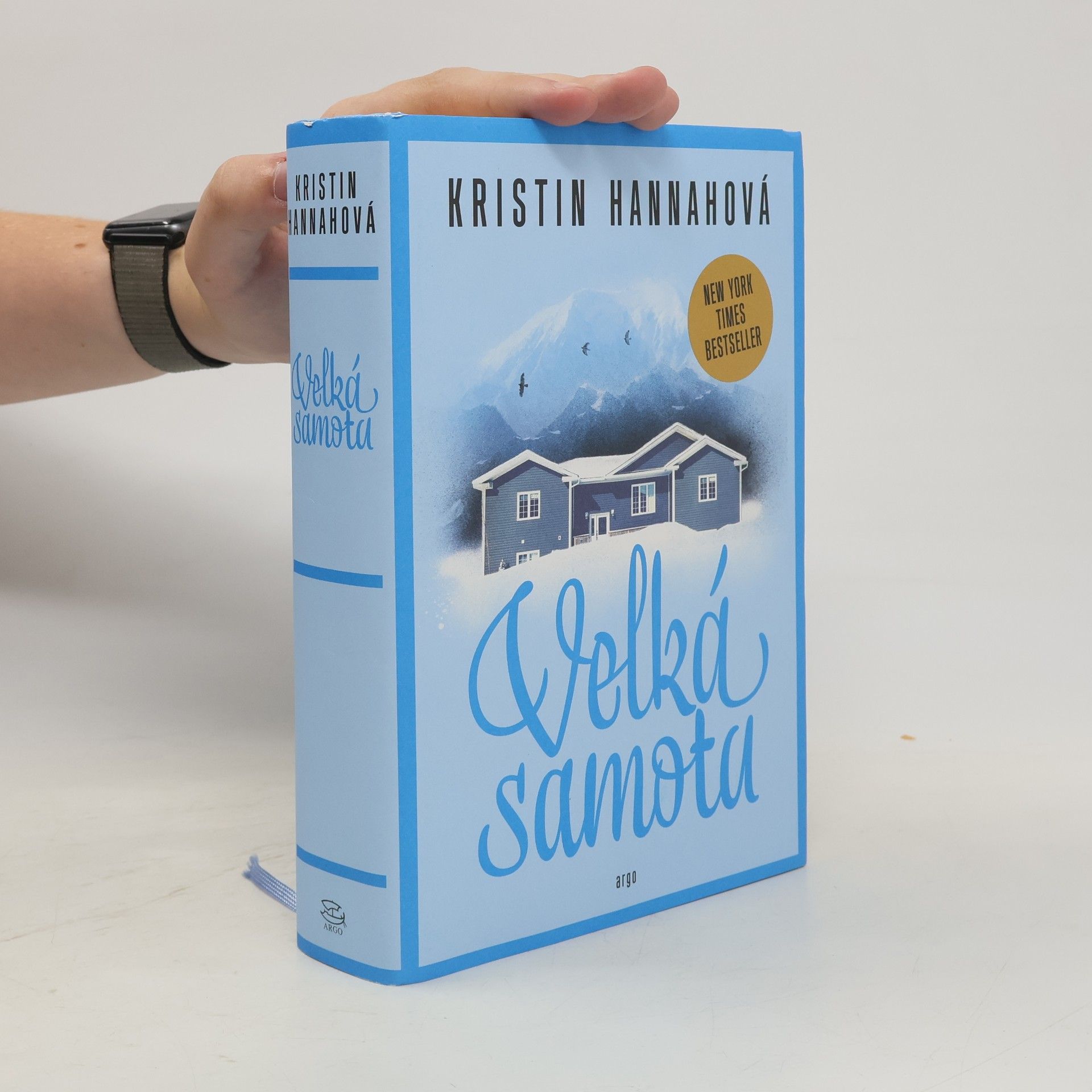 Kristin Hannah Velká samota