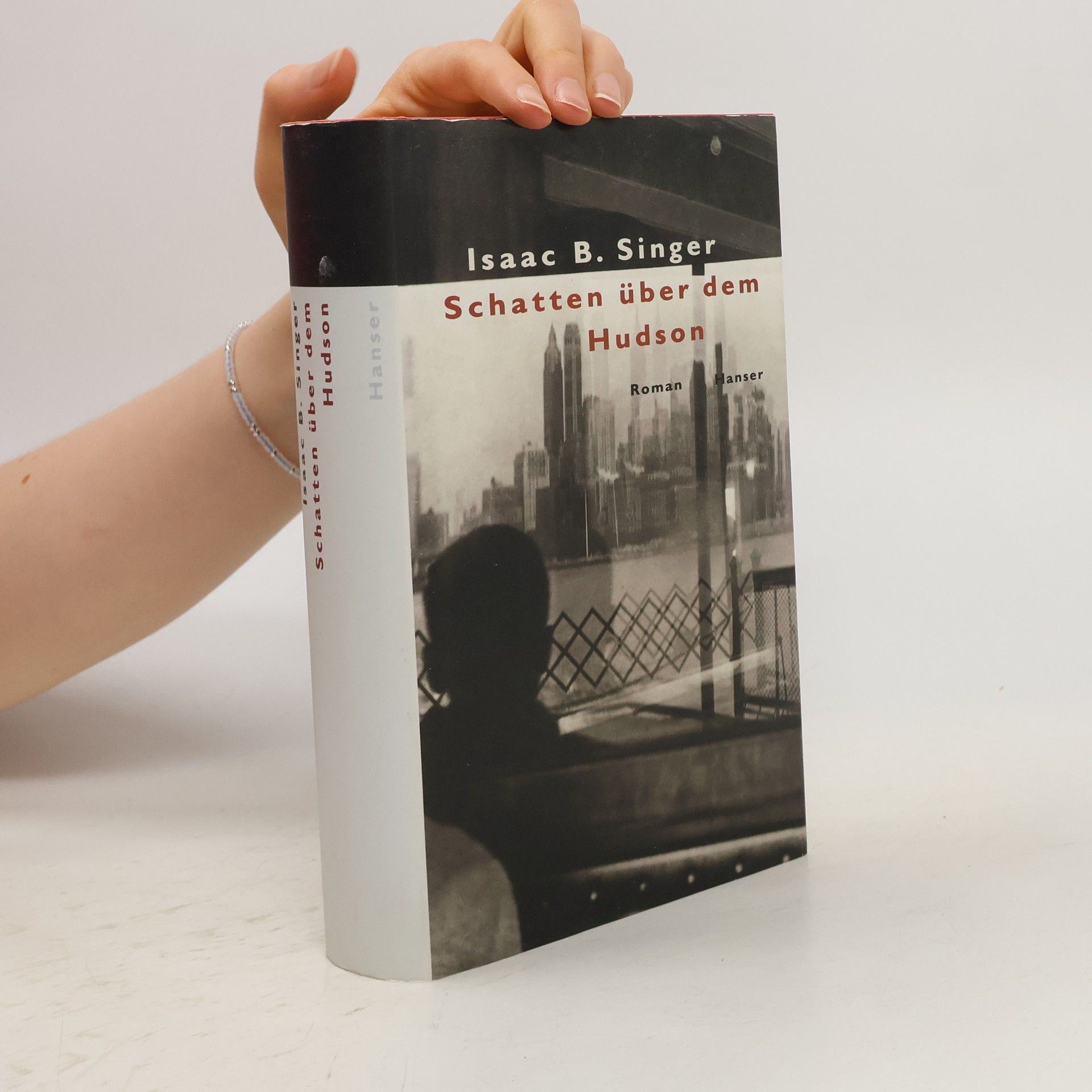 Isaac Bashevis Singer Schatten über dem Hudson