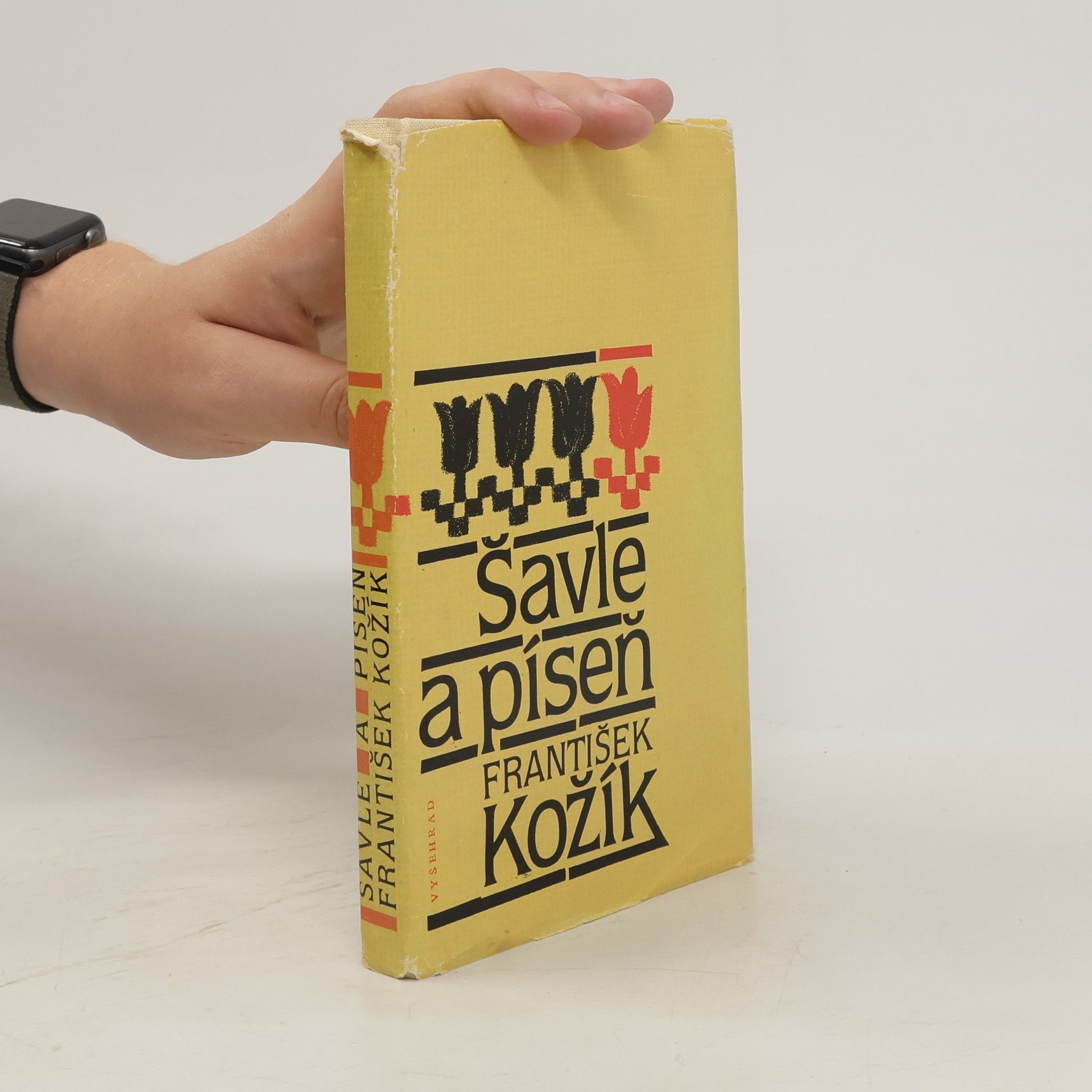 František Kožík Šavle a píseň