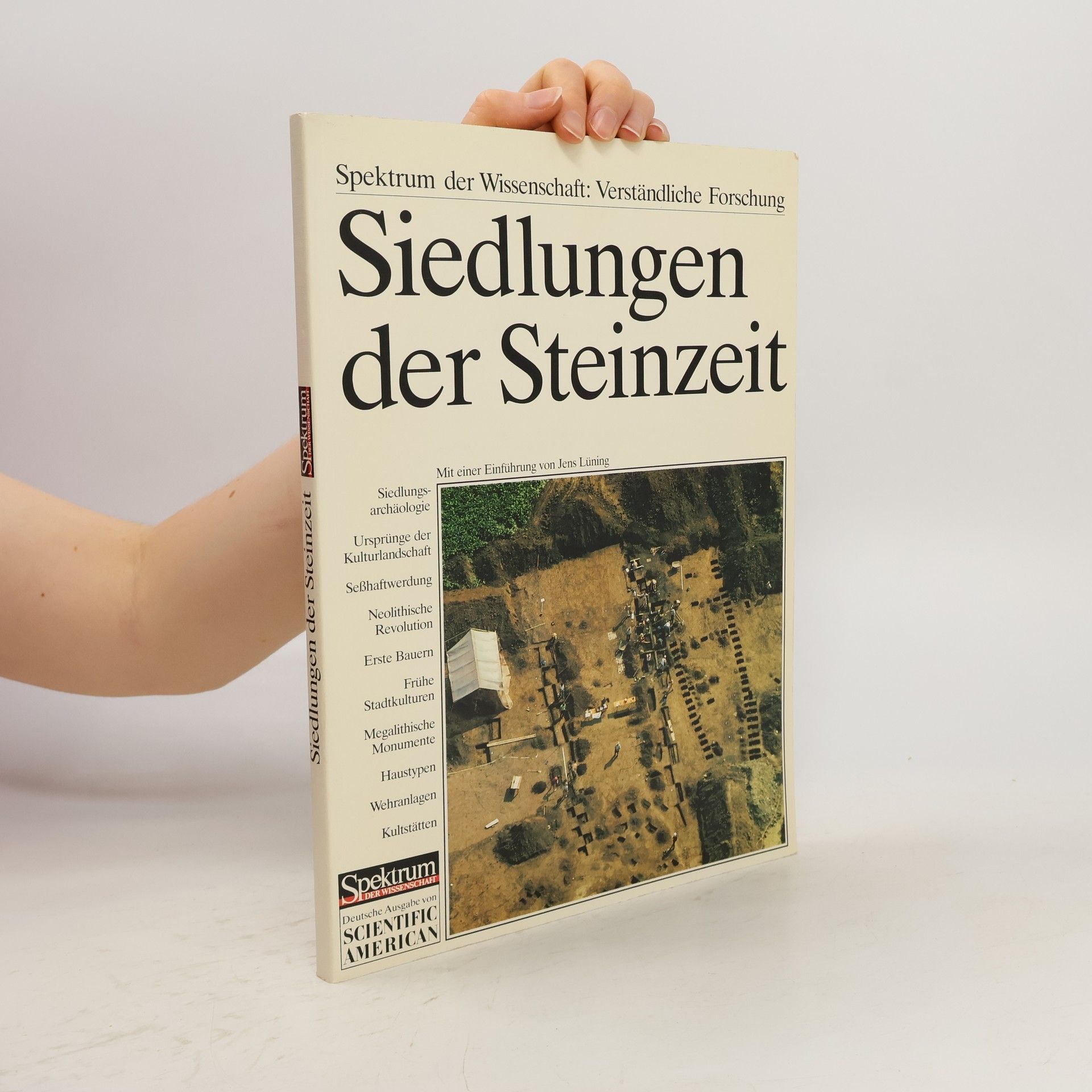 Jens Lüning Siedlungen der Steinzeit