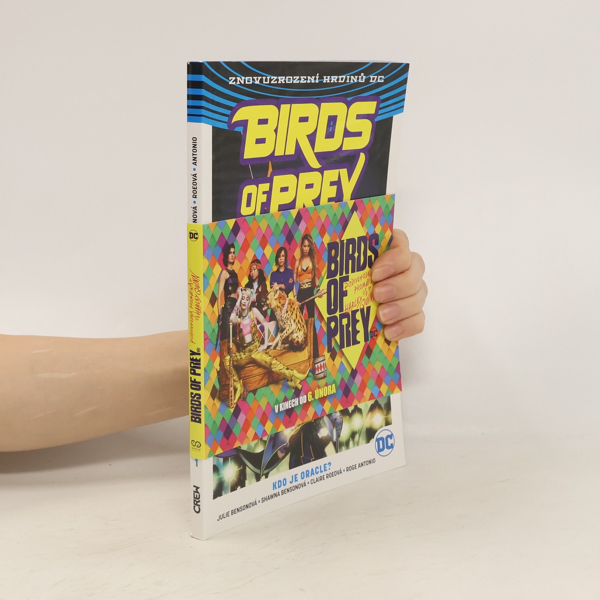 Julie Benson Birds of prey. Kdo je Oracle? (1. díl)