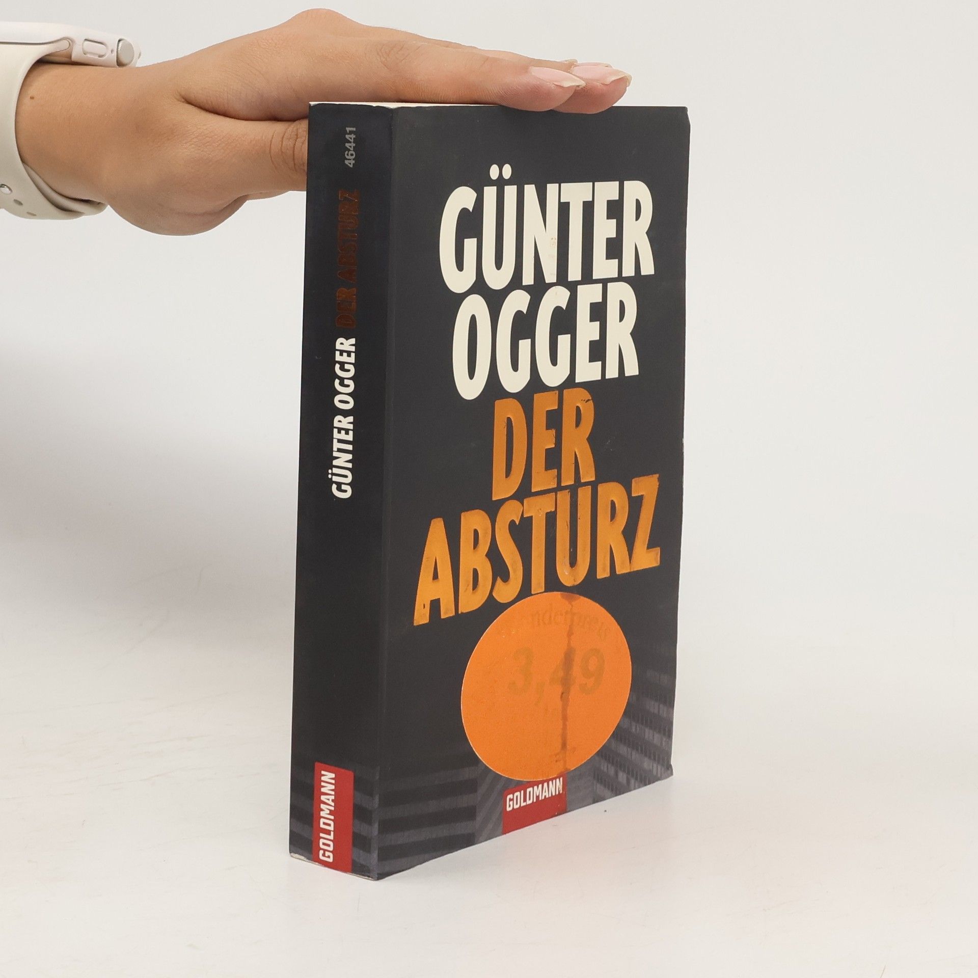 Günter Ogger Der Absturz