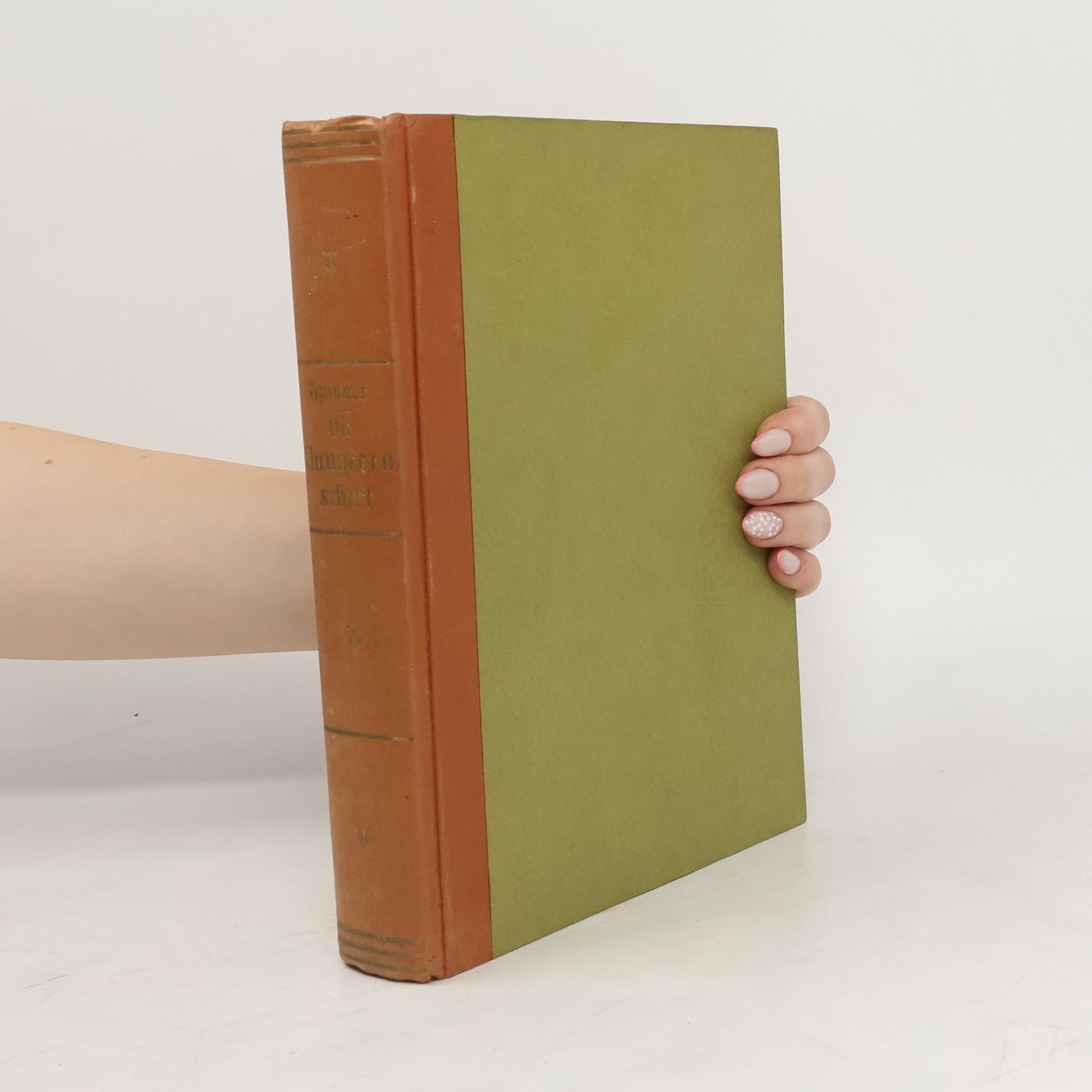 Collectif d'auteurs Dic Jungfernschaft